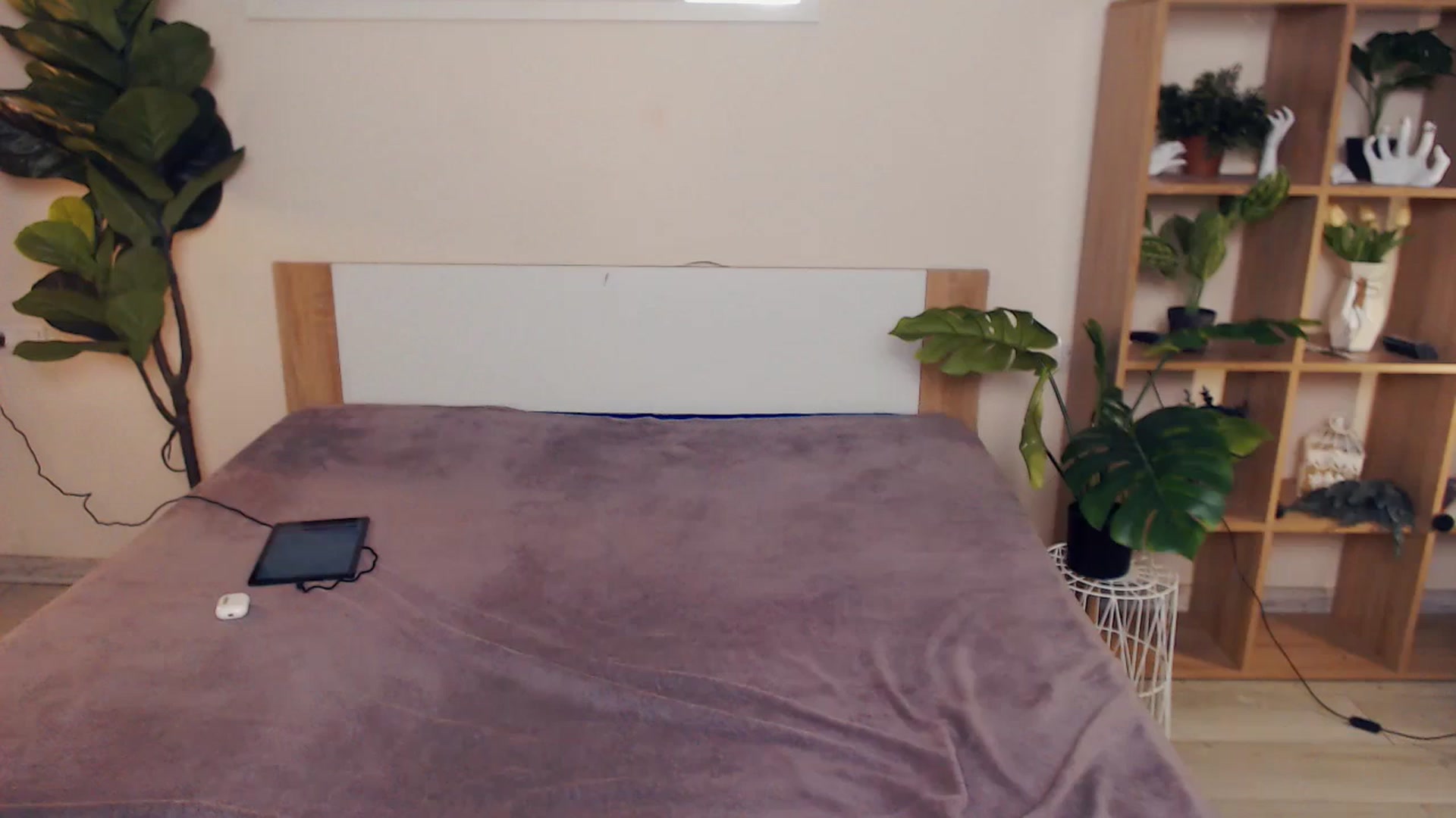Gallery image thumbnail from Hanagasumi's myfreecams stream on, 01/10/2025, 02:19 image 13 of 20