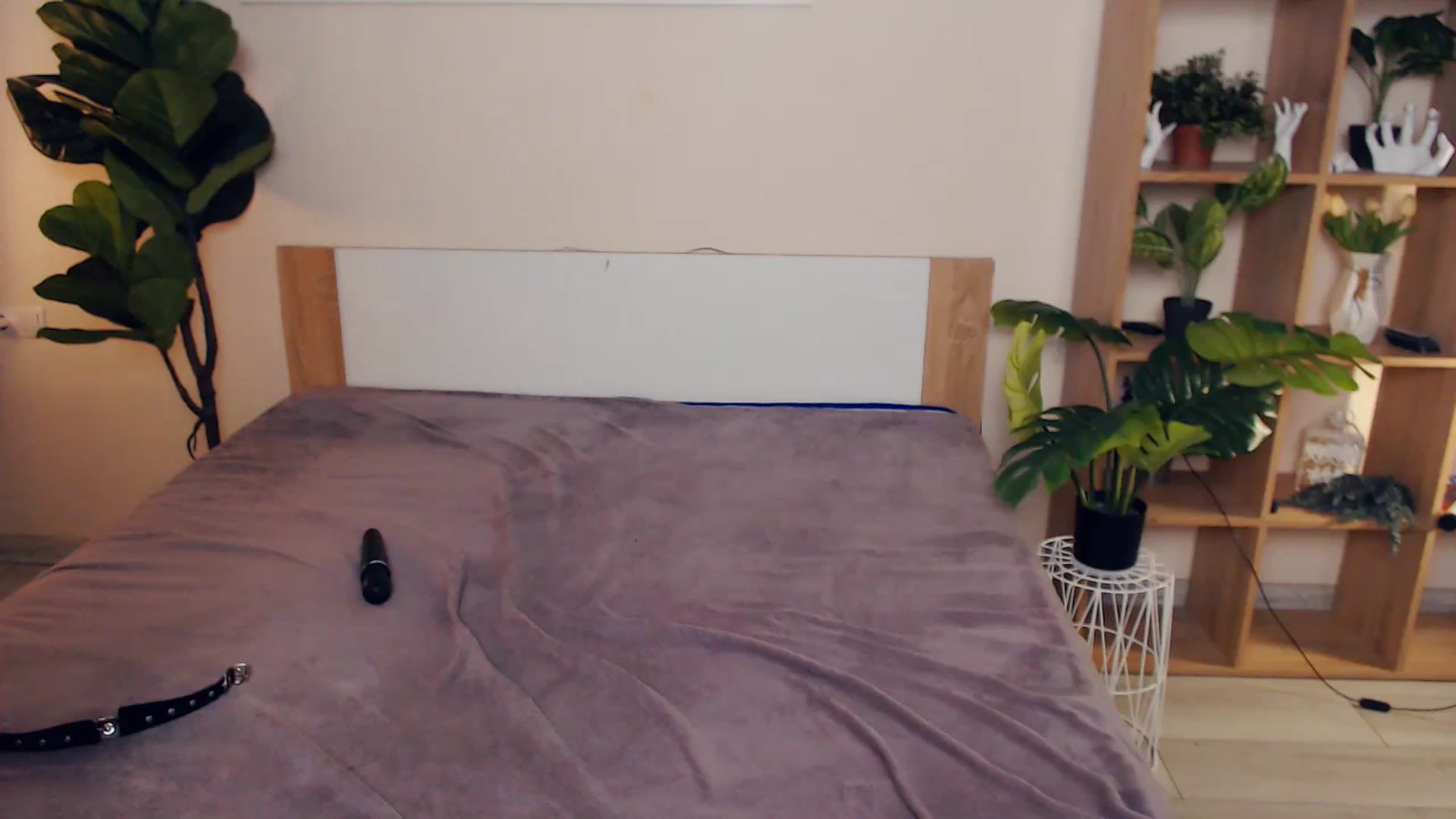 Gallery image thumbnail from Hanagasumi's myfreecams stream on, 02/14/2025, 22:41 image 17 of 20