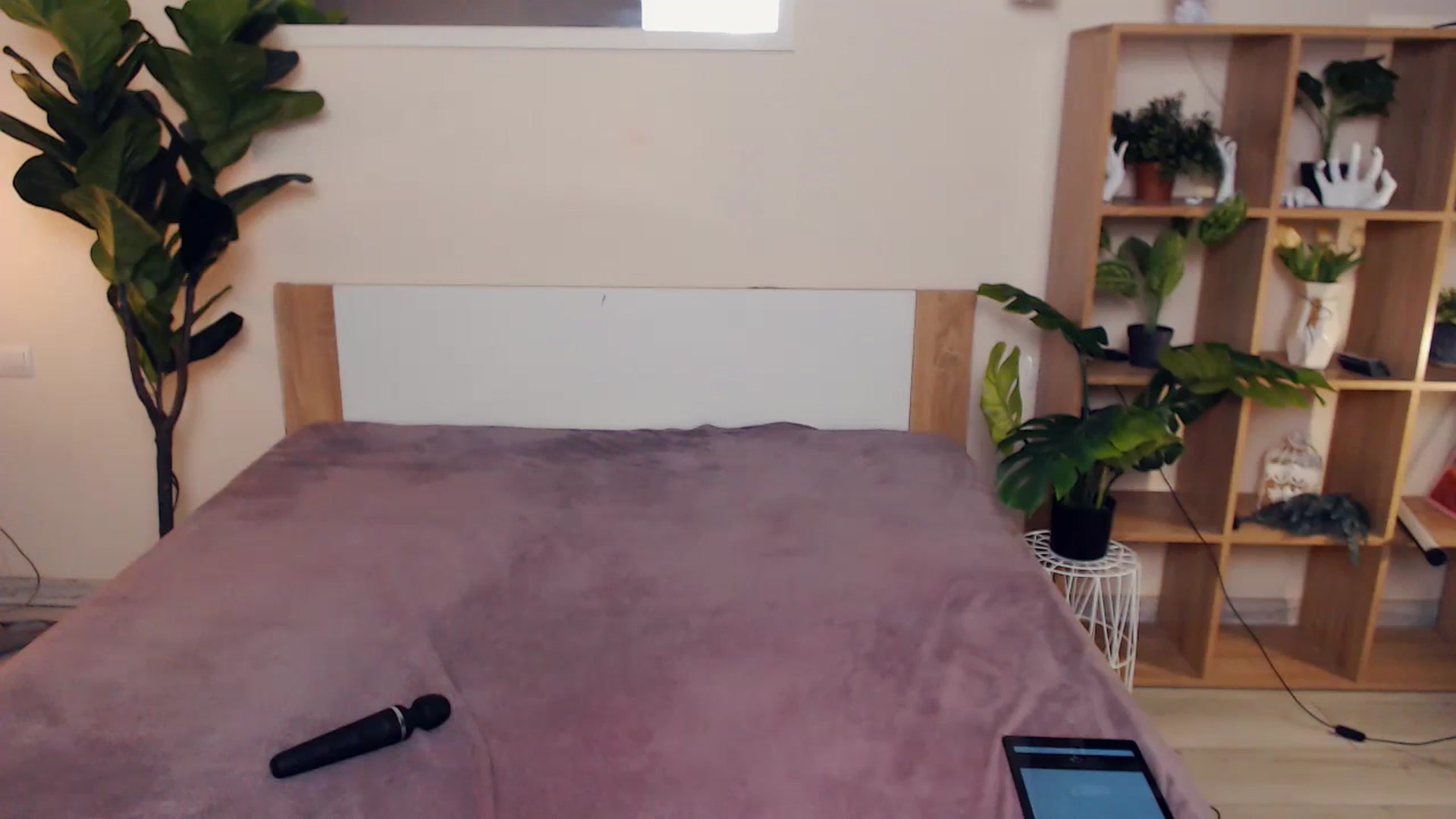 Gallery image thumbnail from Hanagasumi's myfreecams stream on, 04/05/2025, 01:04 image 11 of 20