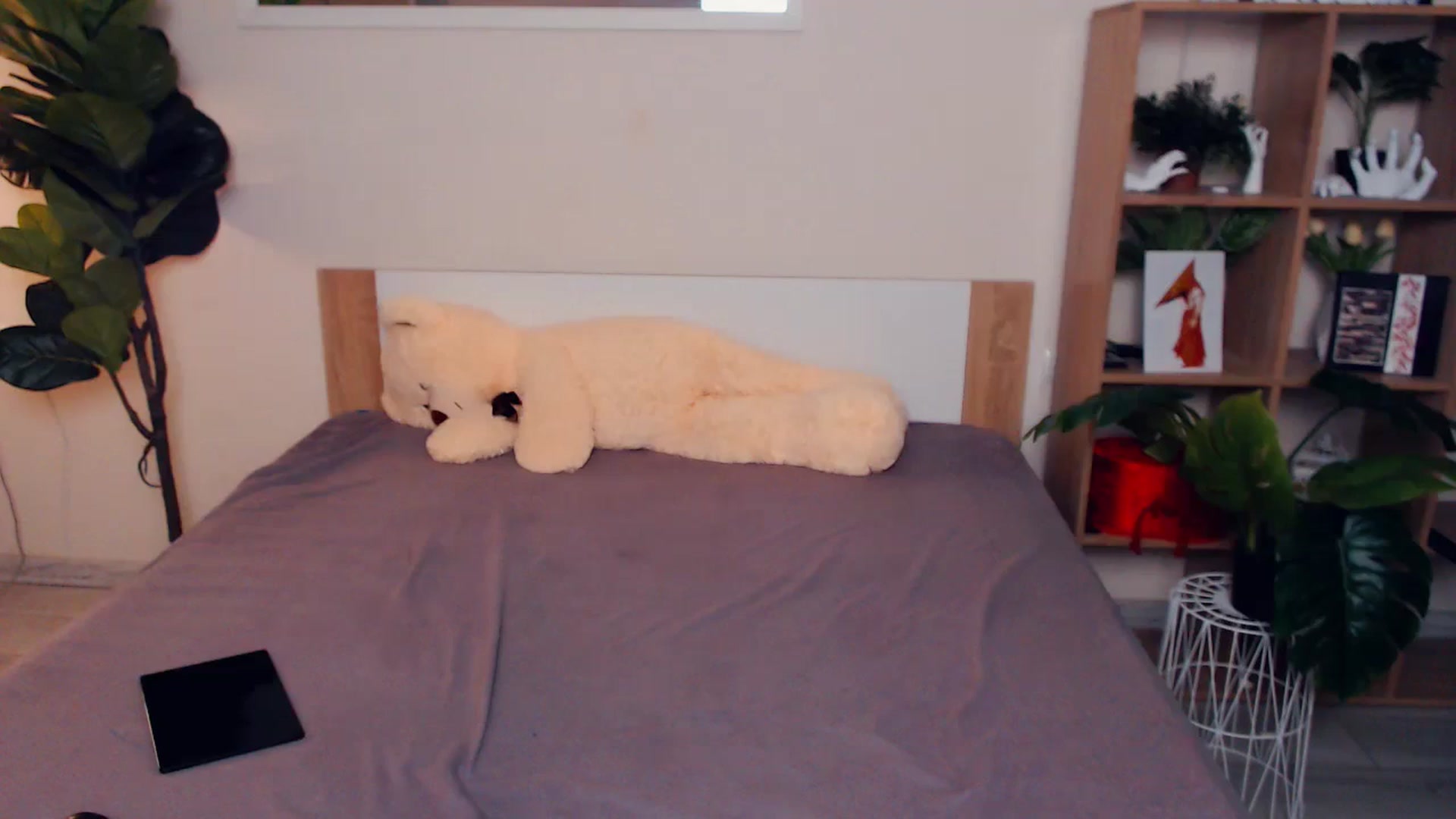 Gallery image thumbnail from Hanagasumi's myfreecams stream on, 08/23/2025, 23:17 image 15 of 20