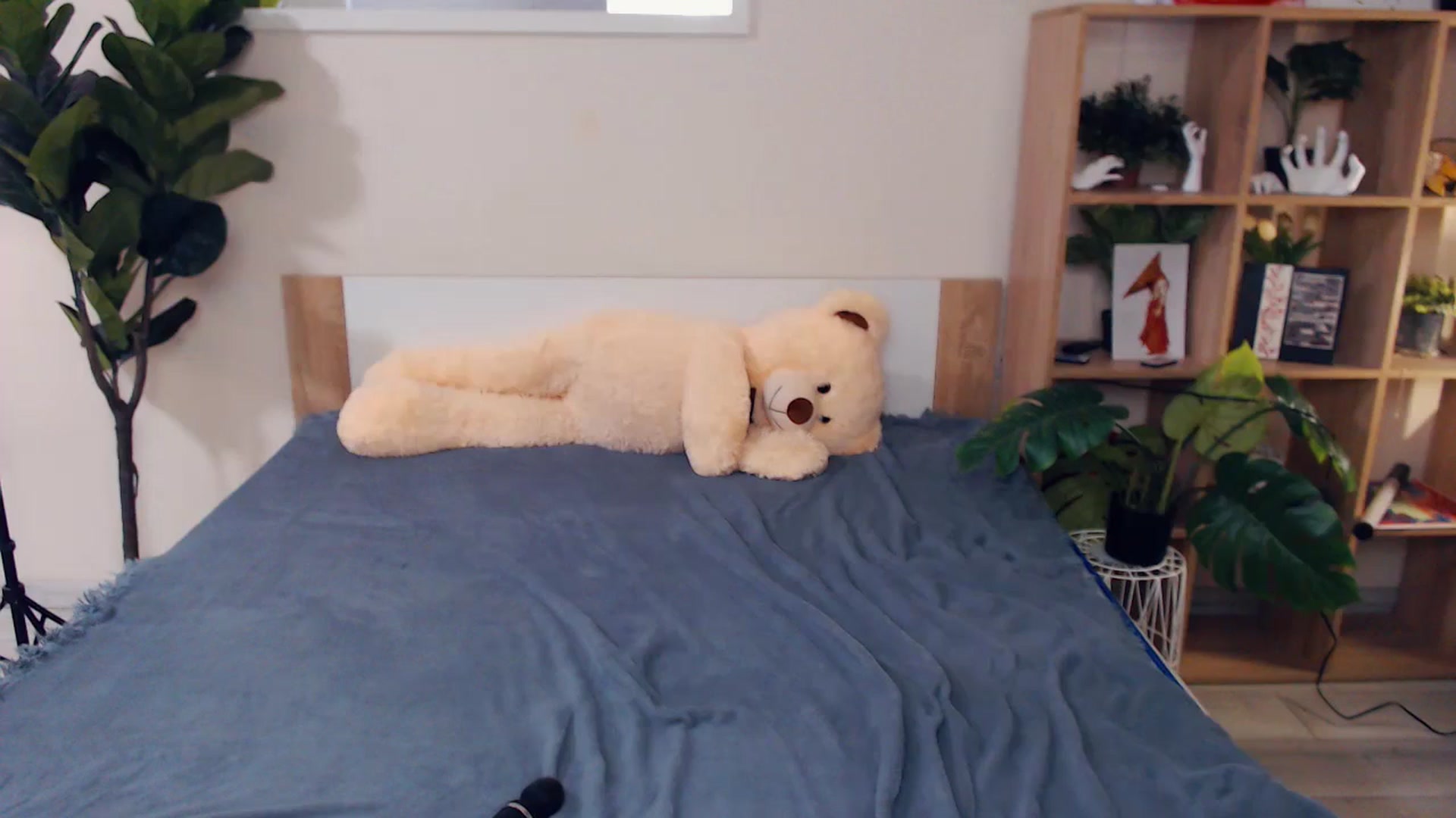 Gallery image thumbnail from Hanagasumi's myfreecams stream on, 11/17/2025, 02:03 image 15 of 20
