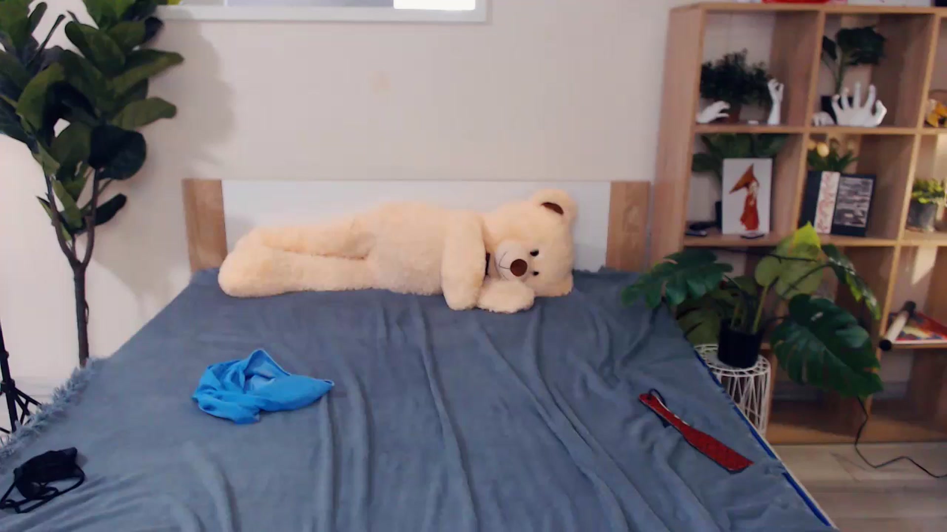 Gallery image thumbnail from Hanagasumi's myfreecams stream on, 11/17/2025, 02:03 image 19 of 20