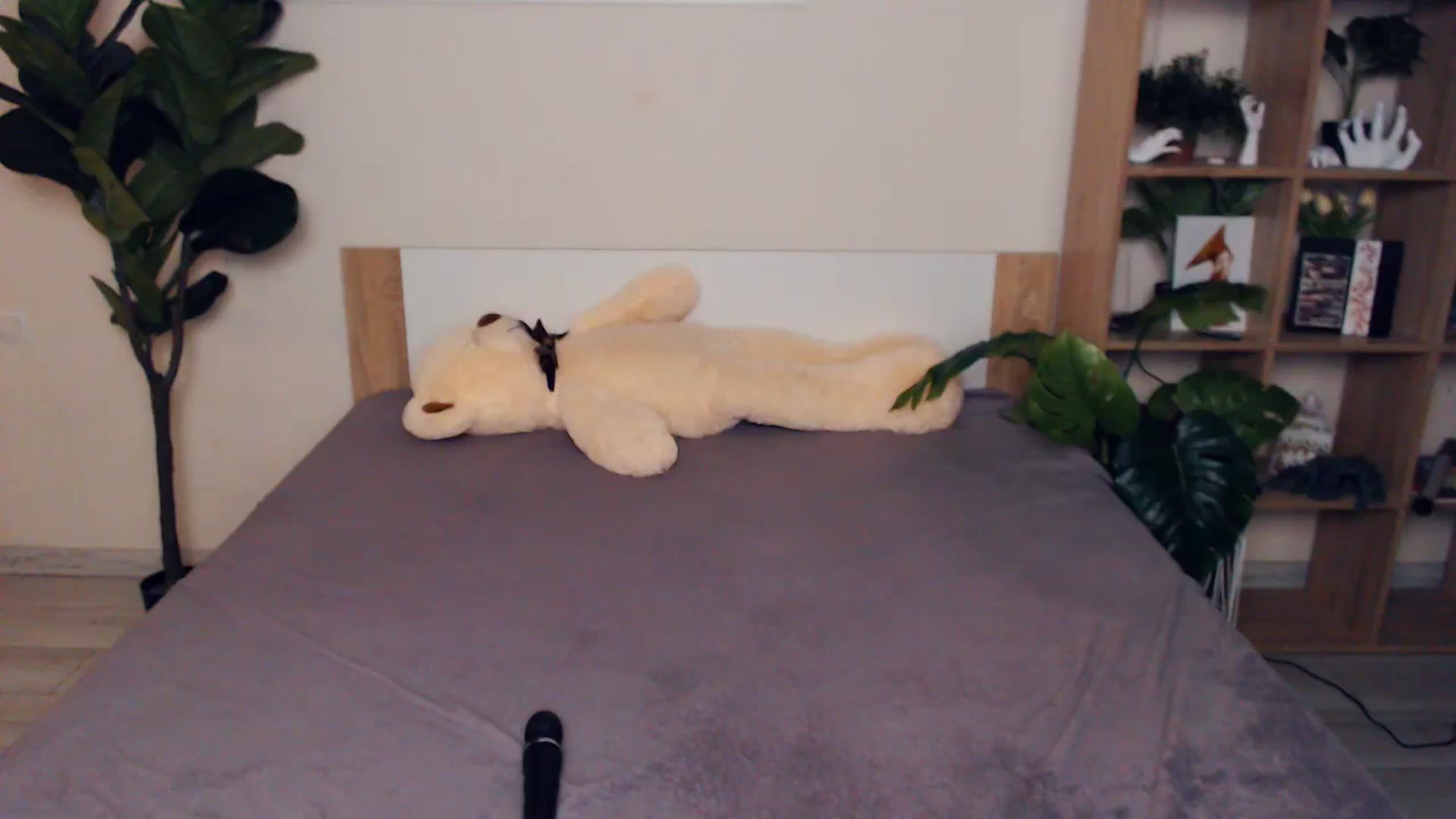 Gallery image thumbnail from Hanagasumi's myfreecams stream on, 11/23/2025, 01:27 image 15 of 20