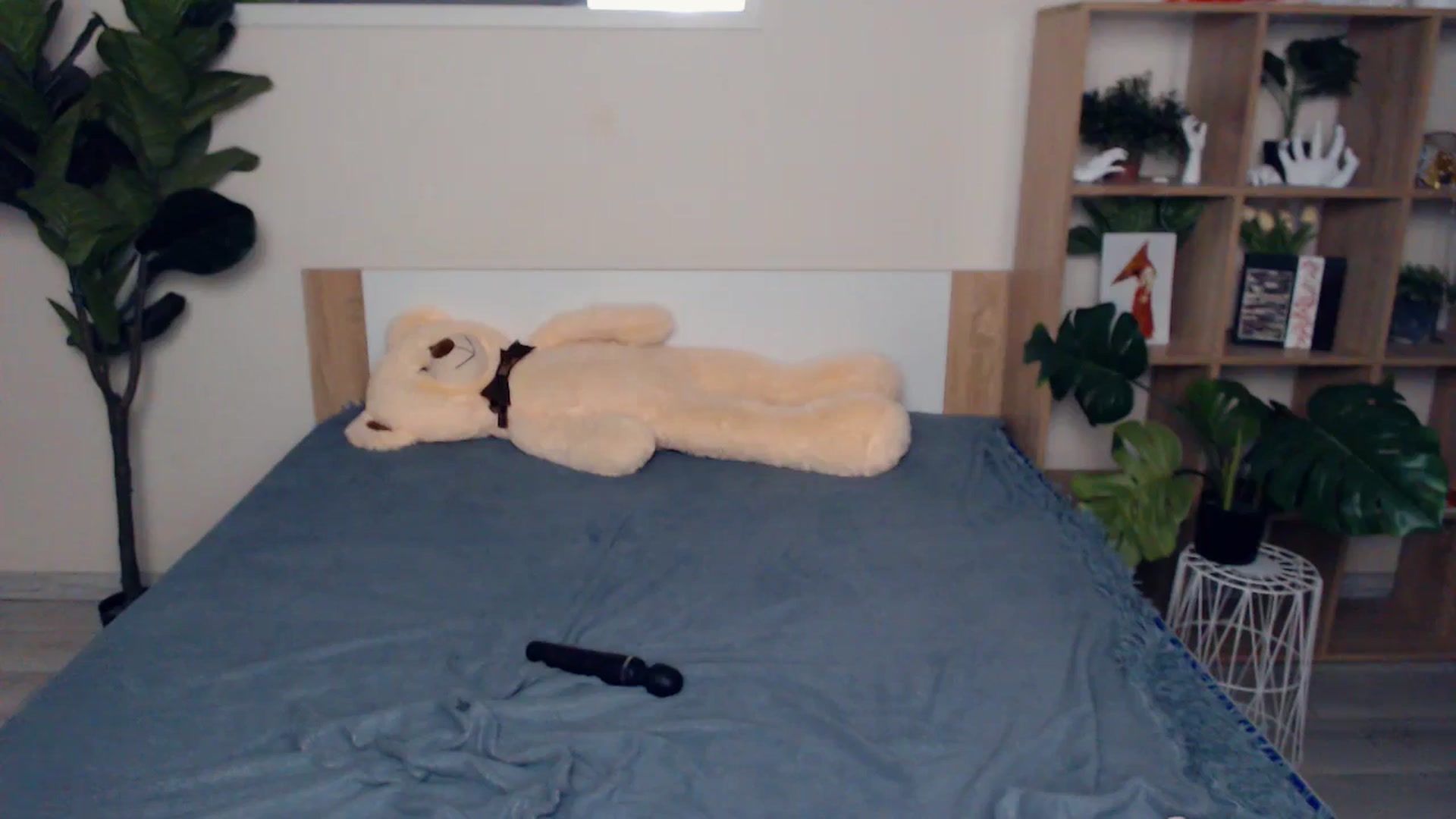Gallery image thumbnail from Hanagasumi's myfreecams stream on, 12/12/2025, 01:19 image 15 of 20