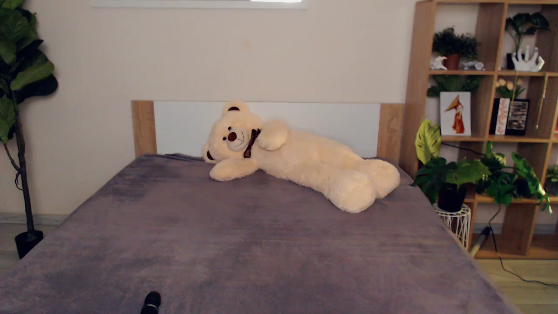 Gallery image thumbnail from Hanagasumi's myfreecams stream on, 12/25/2025, 01:36 image 5 of 20