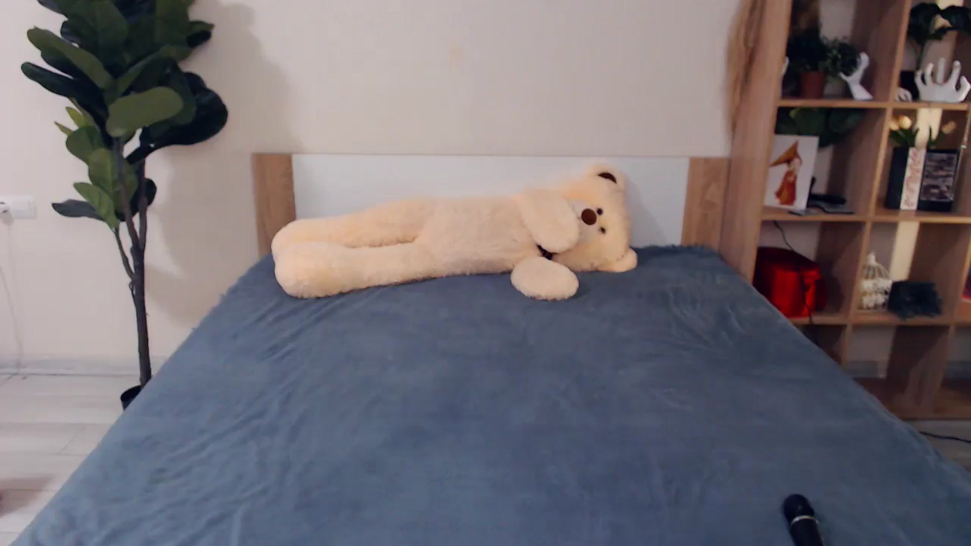 Gallery image thumbnail from Hanagasumi's myfreecams stream on, 02/28/2026, 20:05 image 11 of 20
