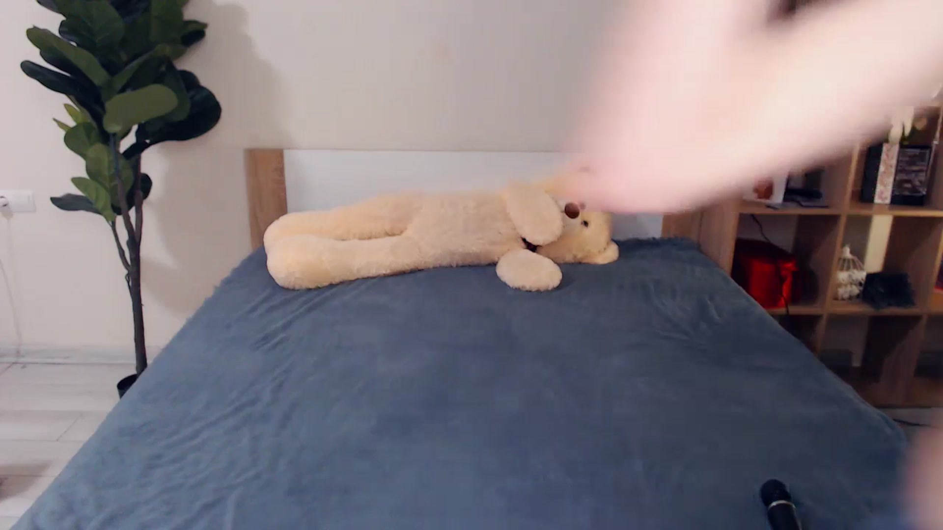 Gallery image thumbnail from Hanagasumi's myfreecams stream on, 02/28/2026, 20:05 image 12 of 20