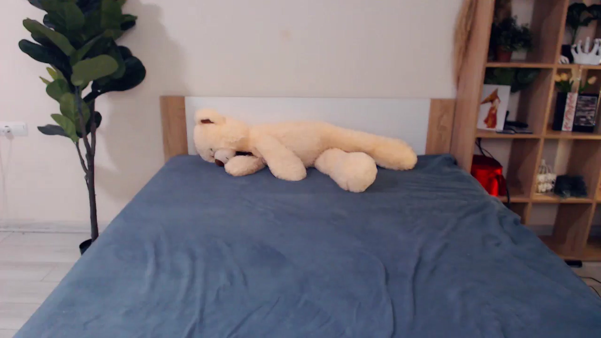 Gallery image thumbnail from Hanagasumi's myfreecams stream on, 03/01/2026, 21:12 image 18 of 20
