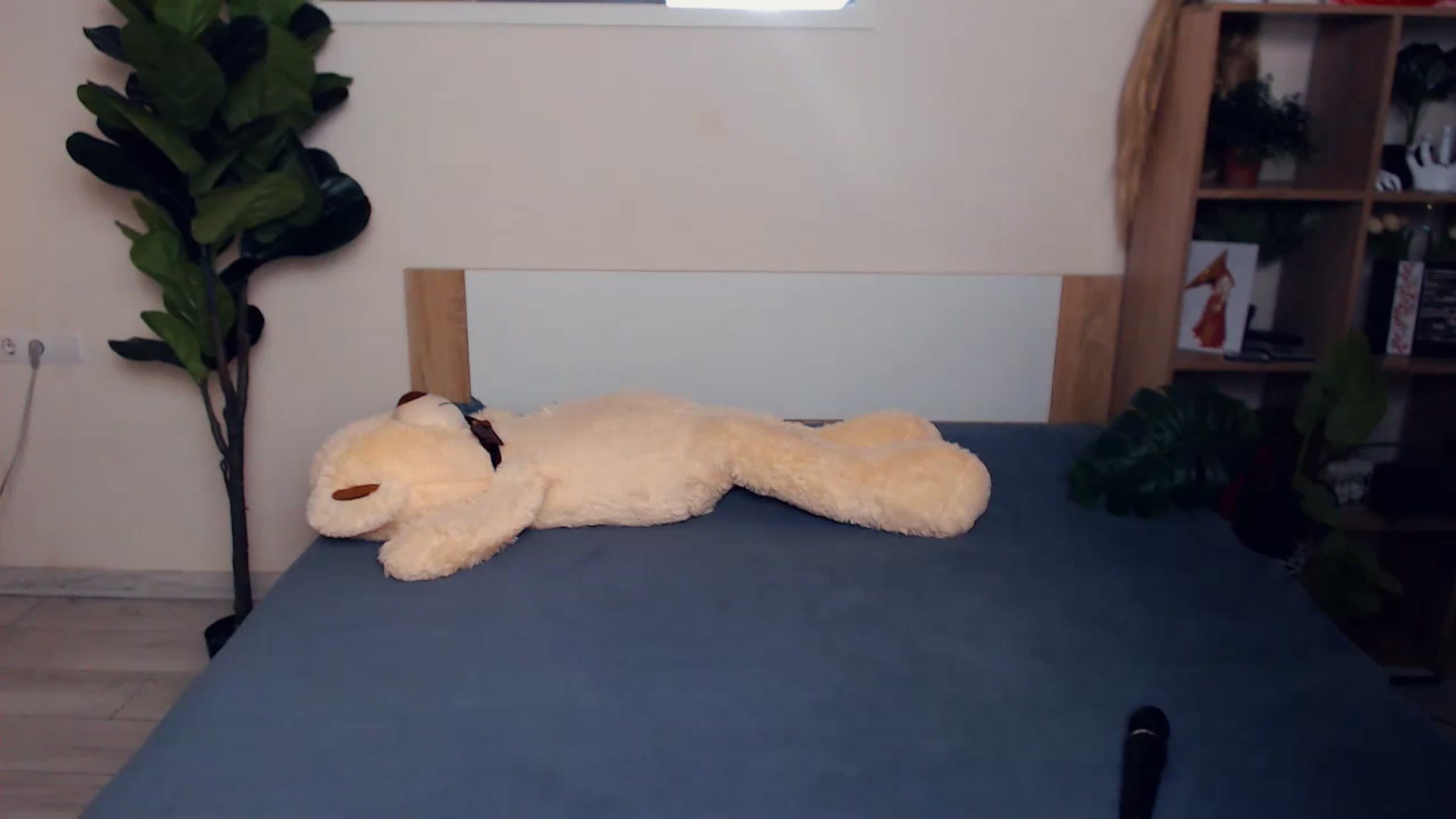 Gallery image thumbnail from Hanagasumi's myfreecams stream on, 03/07/2026, 02:40 image 2 of 20