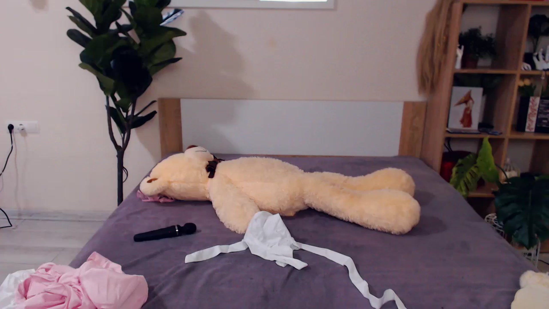 Gallery image thumbnail from Hanagasumi's myfreecams stream on, 03/20/2026, 02:54 image 17 of 20