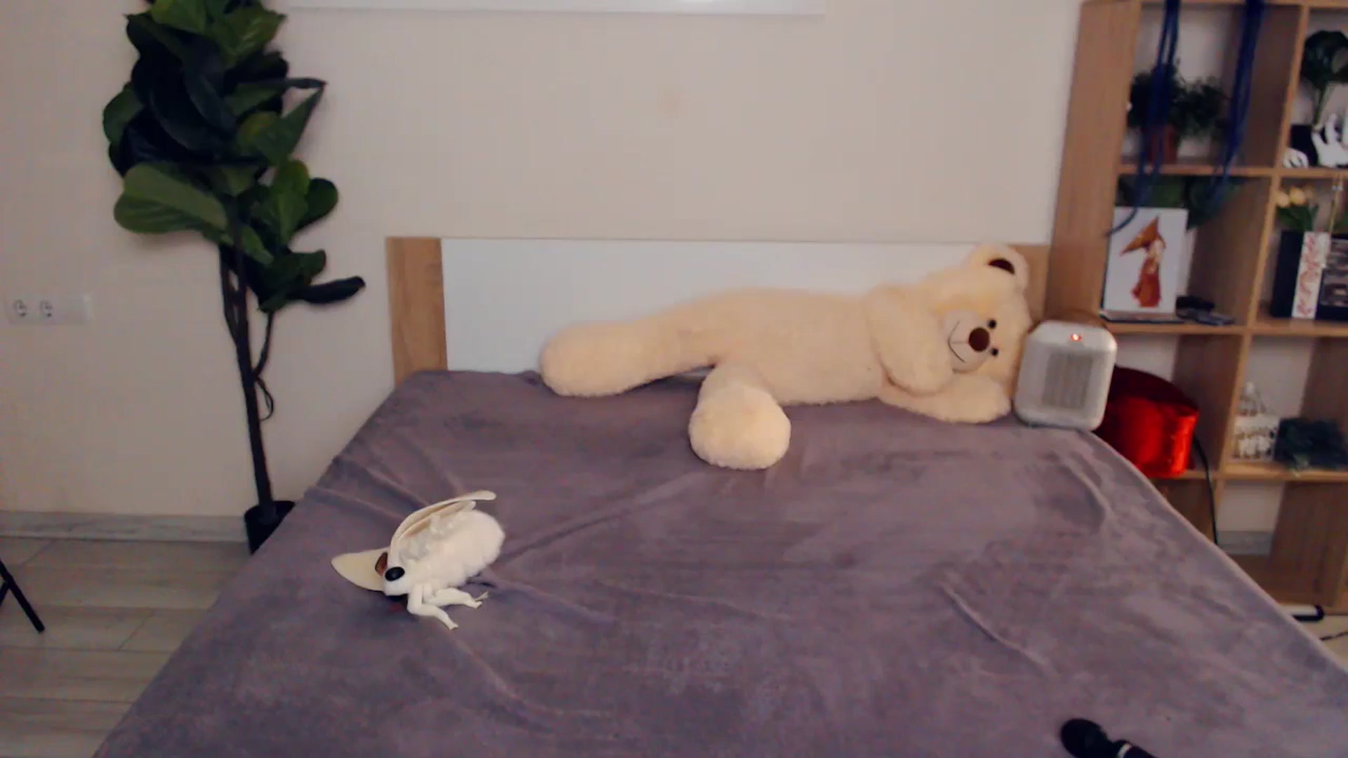 Gallery image thumbnail from Hanagasumi's myfreecams stream on, 04/09/2026, 21:41 image 5 of 20