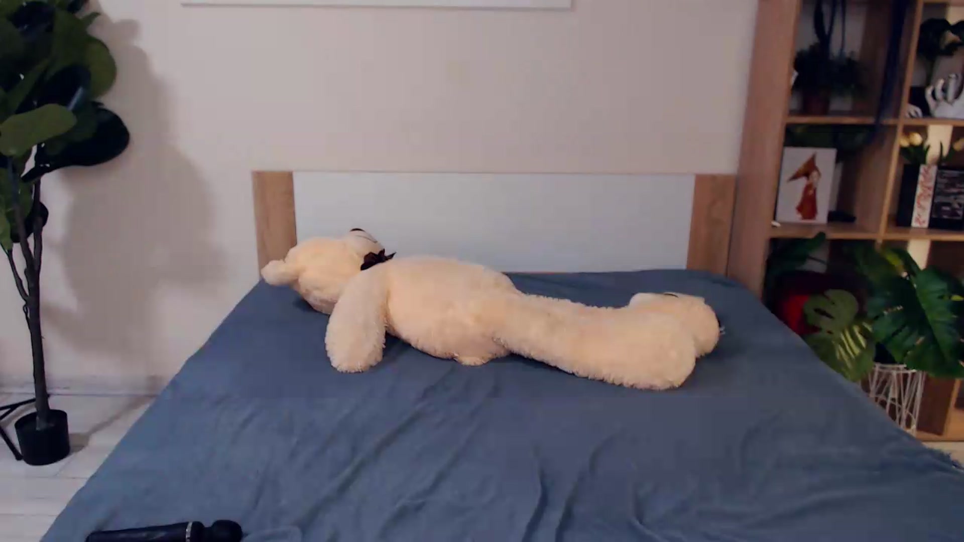 Gallery image thumbnail from Hanagasumi's myfreecams stream on, 05/23/2026, 23:55 image 13 of 20