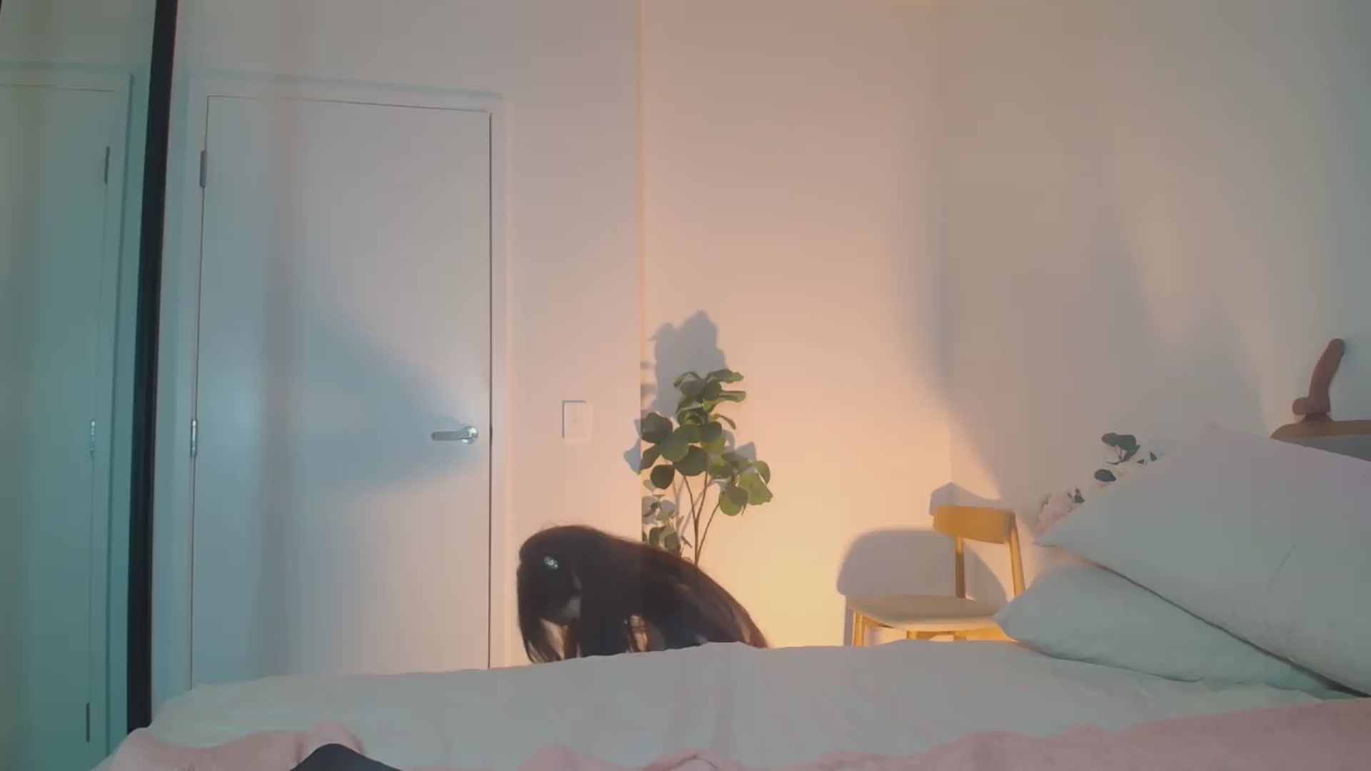 Gallery image thumbnail from Hanna_XX's myfreecams stream on, 08/16/2026, 12:39 image 1 of 20