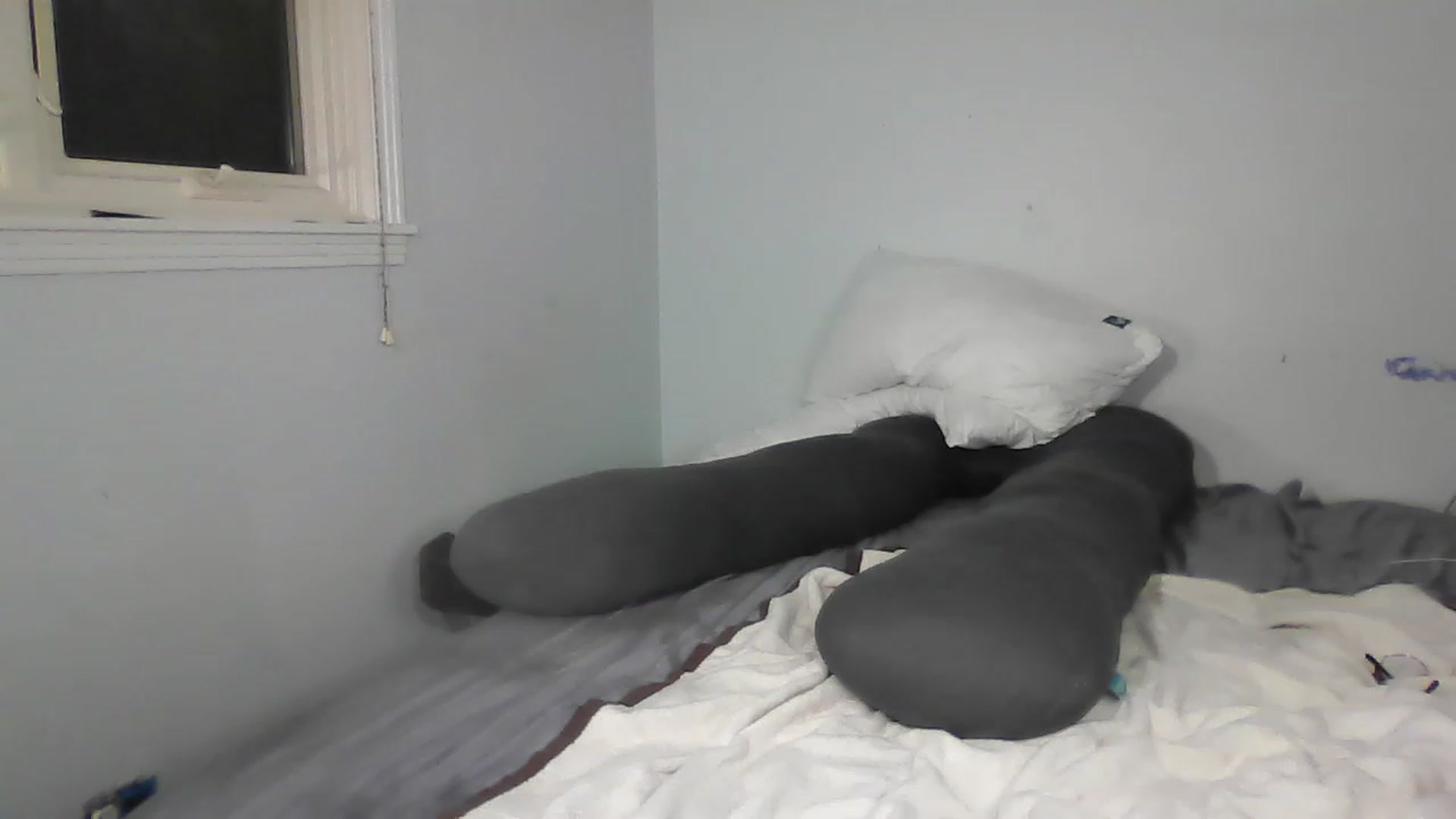 Gallery image thumbnail from HannahHarte's myfreecams stream on, 12/09/2022, 13:27 image 2 of 20