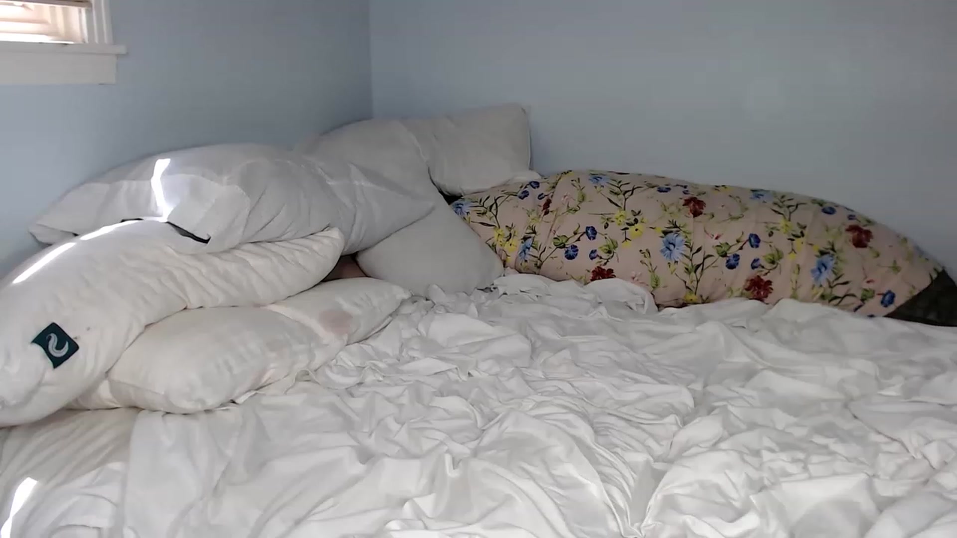 Gallery image thumbnail from HannahHarte's myfreecams stream on, 05/30/2023, 16:24 image 11 of 20