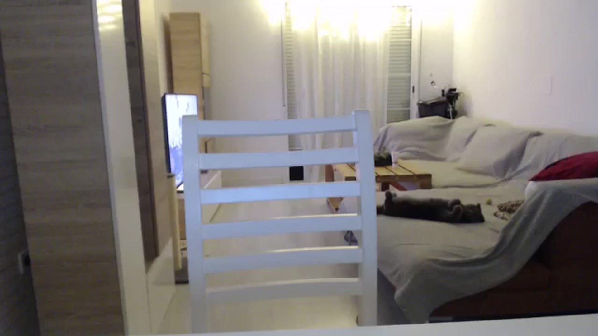Gallery image thumbnail from Harley_Starr's myfreecams stream on, 04/23/2024, 20:26 image 3 of 20