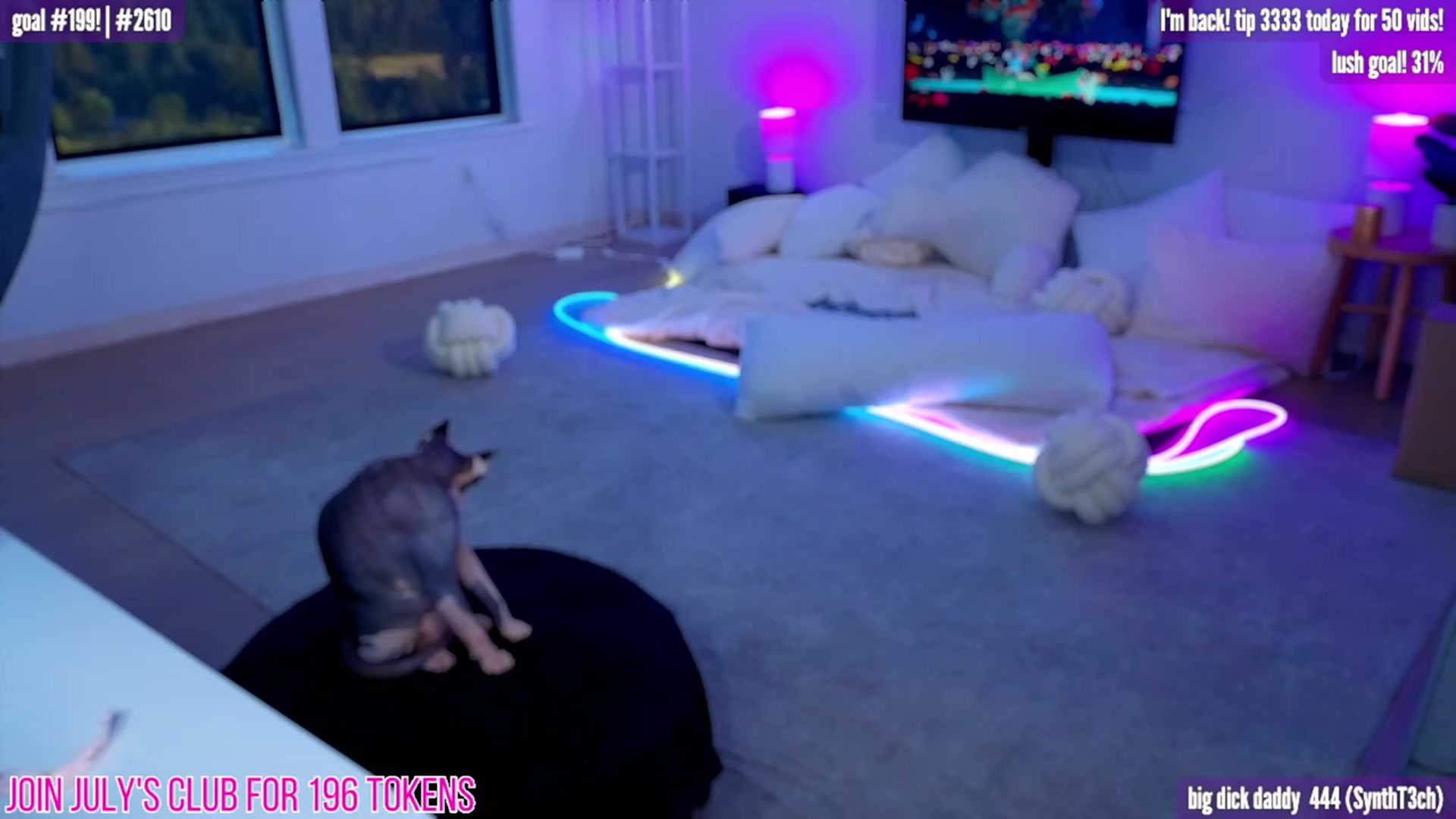 Gallery image thumbnail from HarloweXo's myfreecams stream on, 08/10/2023, 03:06 image 16 of 20