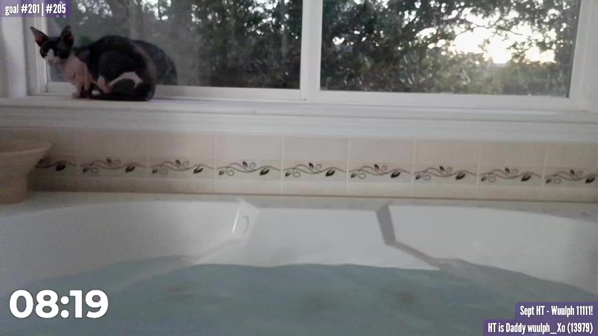 Gallery image thumbnail from HarloweXo's myfreecams stream on, 09/06/2023, 03:17 image 7 of 20