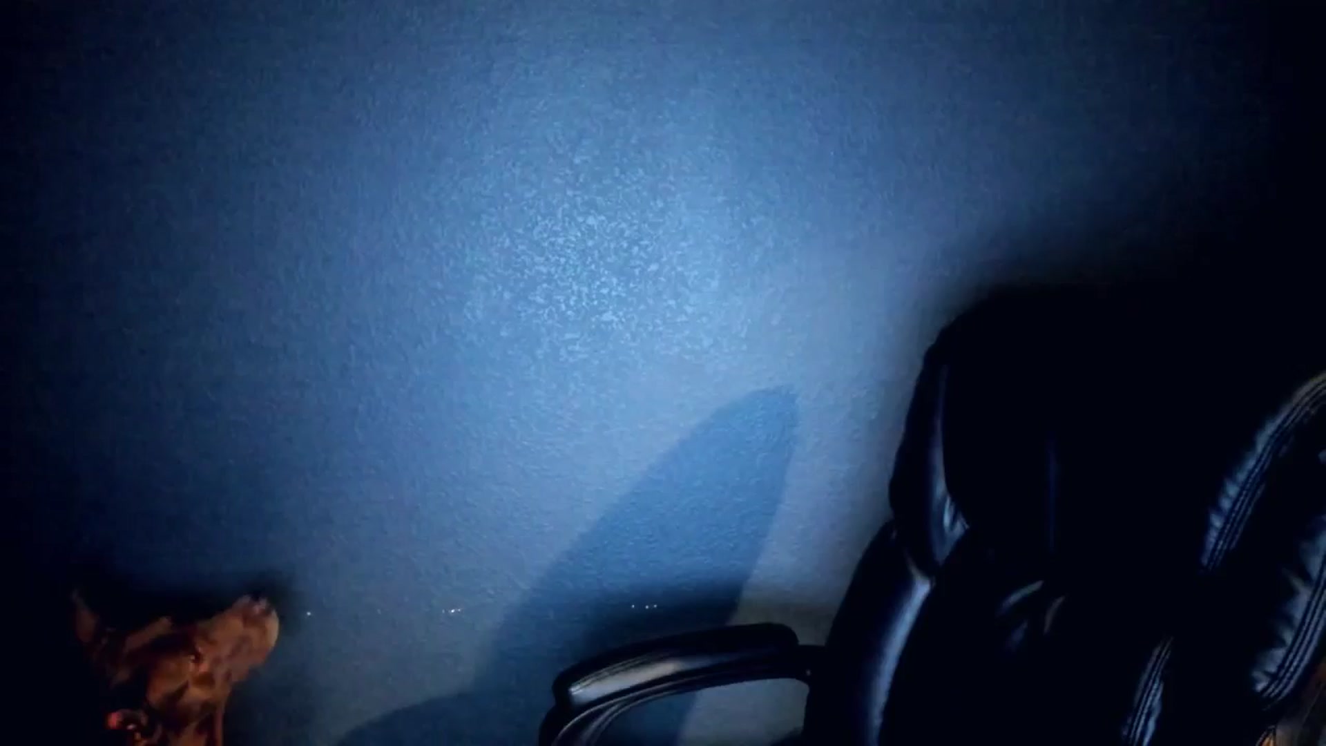 Gallery image thumbnail from Haru_'s myfreecams stream on, 04/19/2025, 05:36 image 3 of 20