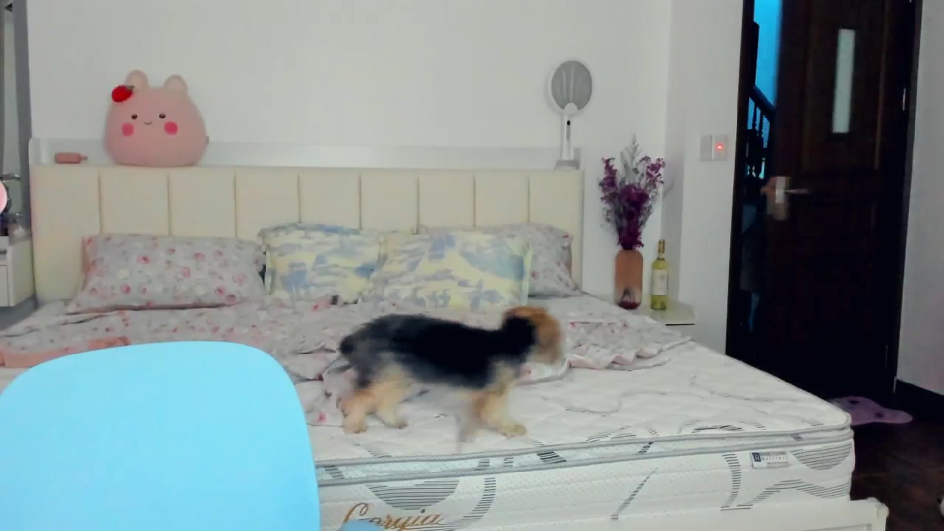 Gallery image thumbnail from Haru_'s myfreecams stream on, 06/03/2025, 05:56 image 4 of 20