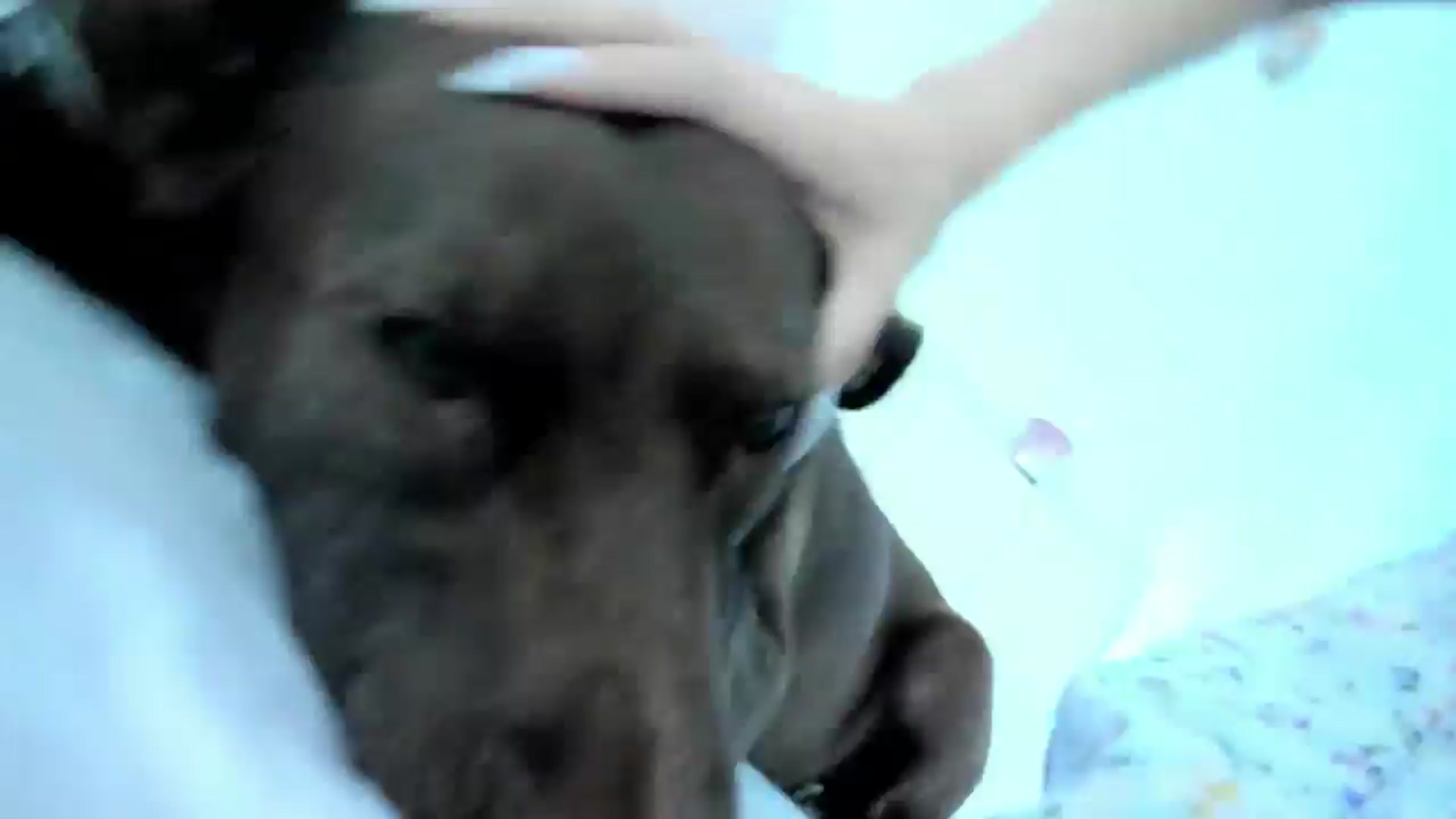 Gallery image thumbnail from Haru_'s myfreecams stream on, 07/09/2025, 05:59 image 18 of 20