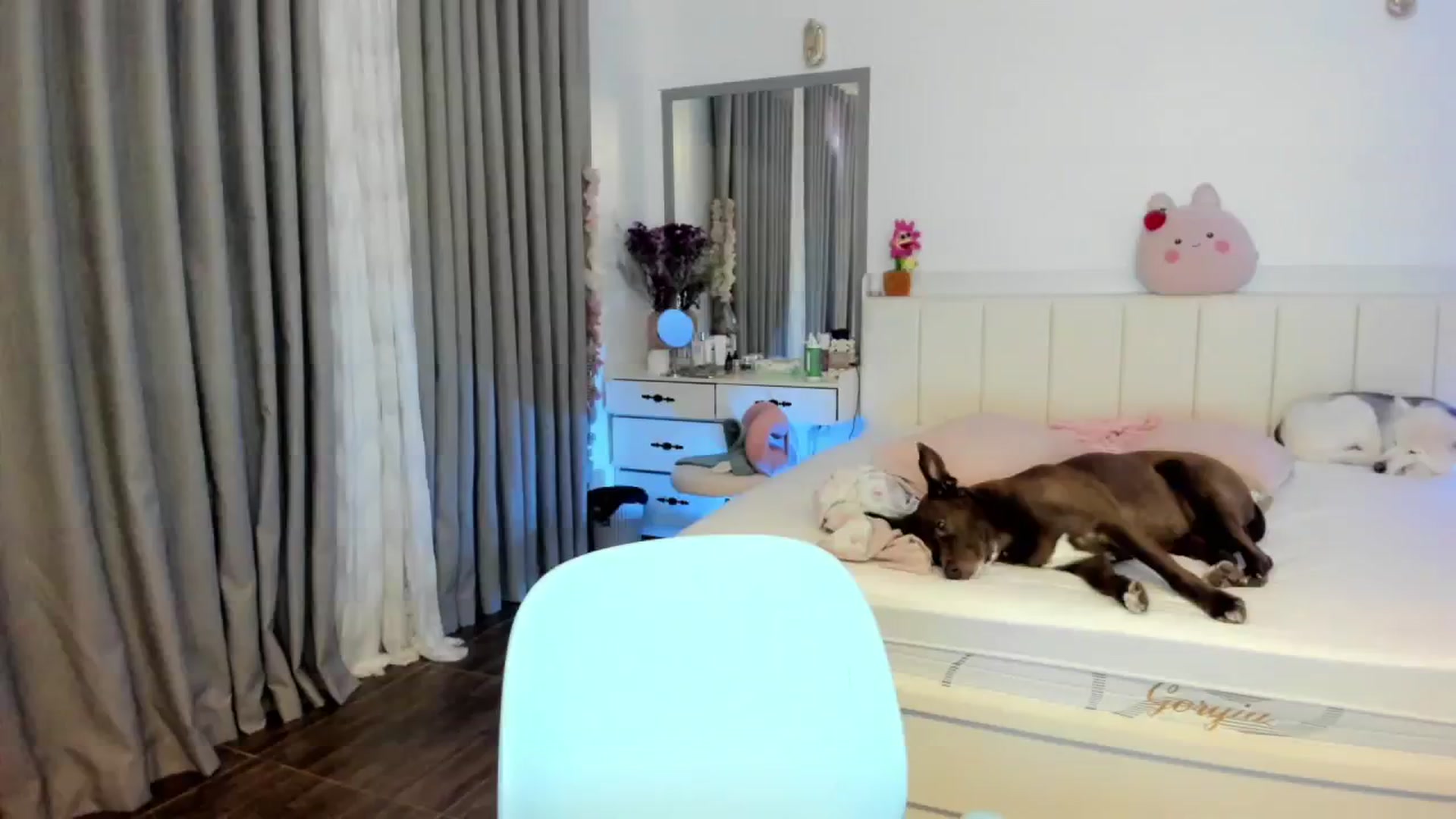 Gallery image thumbnail from Haru_'s myfreecams stream on, 08/17/2025, 04:48 image 20 of 20