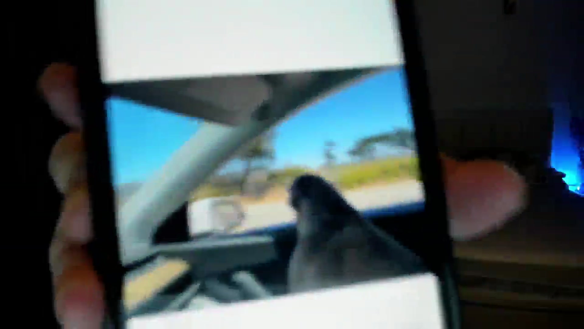 Gallery image thumbnail from Haru_'s myfreecams stream on, 08/19/2025, 05:54 image 19 of 20