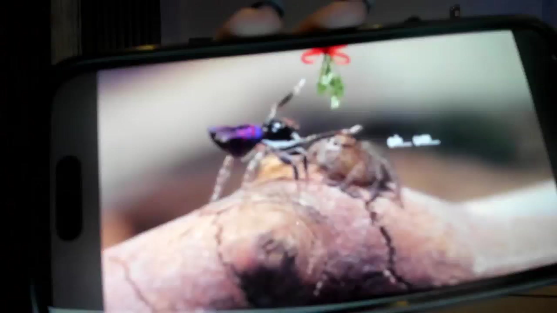 Gallery image thumbnail from Haru_'s myfreecams stream on, 09/04/2025, 05:58 image 17 of 20