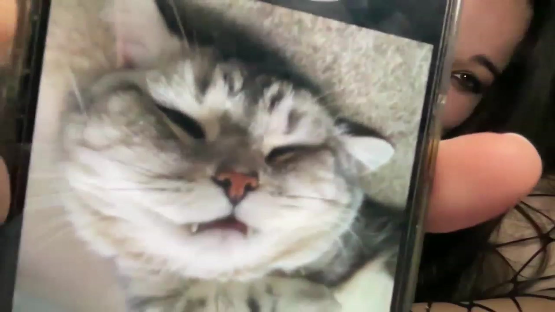 Gallery image thumbnail from Hasymura's myfreecams stream on, 08/18/2023, 24:36 image 14 of 20
