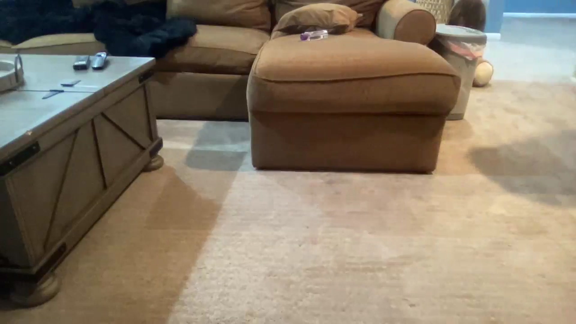 Gallery image thumbnail from Hayleebaby's myfreecams stream on, 12/03/2023, 07:27 image 2 of 20