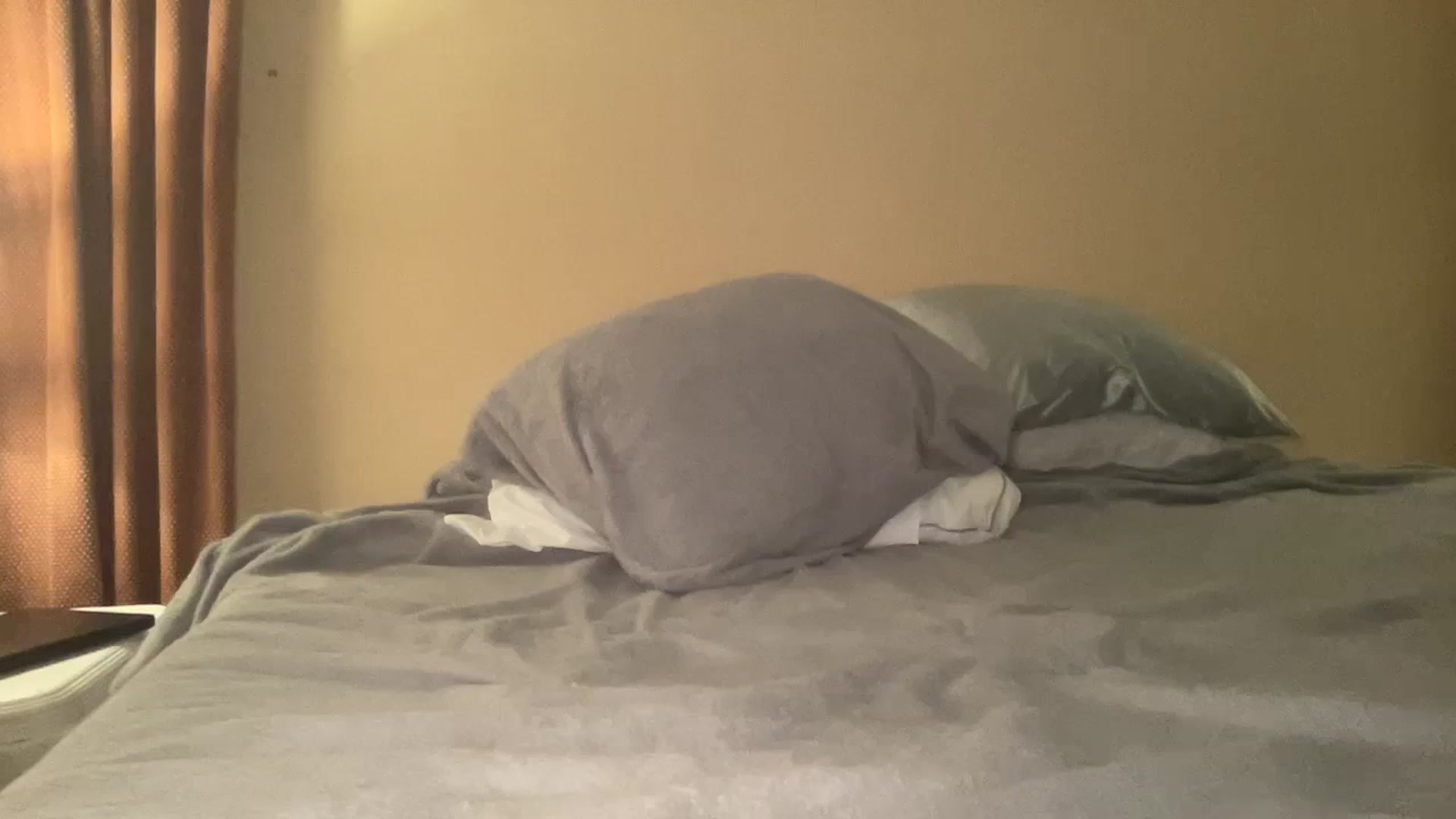 Gallery image thumbnail from Hayleebaby's myfreecams stream on, 01/07/2024, 01:55 image 15 of 20