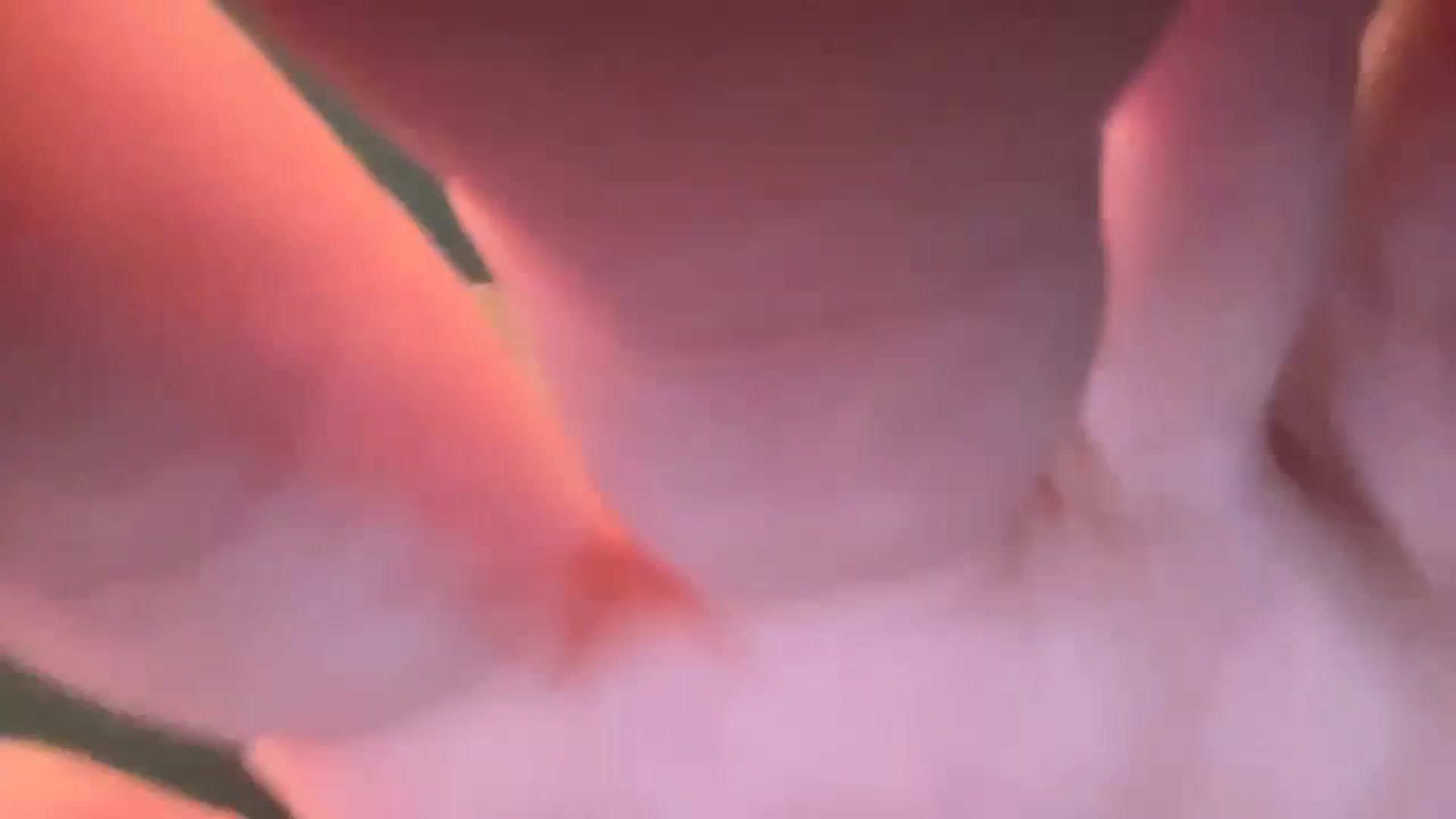 Gallery image thumbnail from Hayleebaby's myfreecams stream on, 03/11/2024, 18:31 image 1 of 20