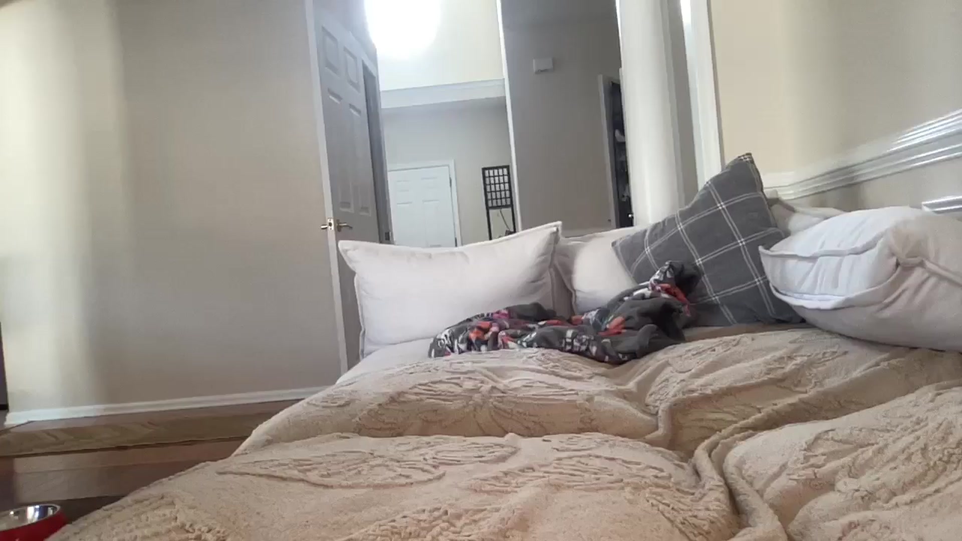 Gallery image thumbnail from Hayleebaby's myfreecams stream on, 08/14/2024, 21:17 image 15 of 20