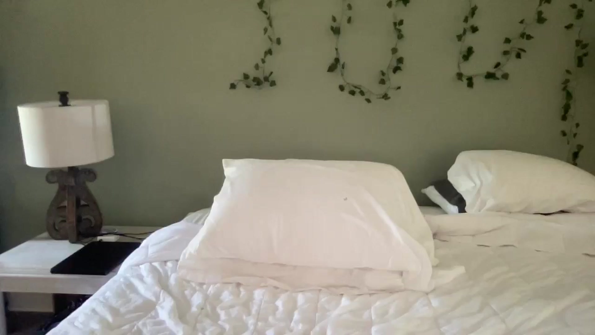 Gallery image thumbnail from Hayleebaby's myfreecams stream on, 08/29/2024, 17:21 image 20 of 20