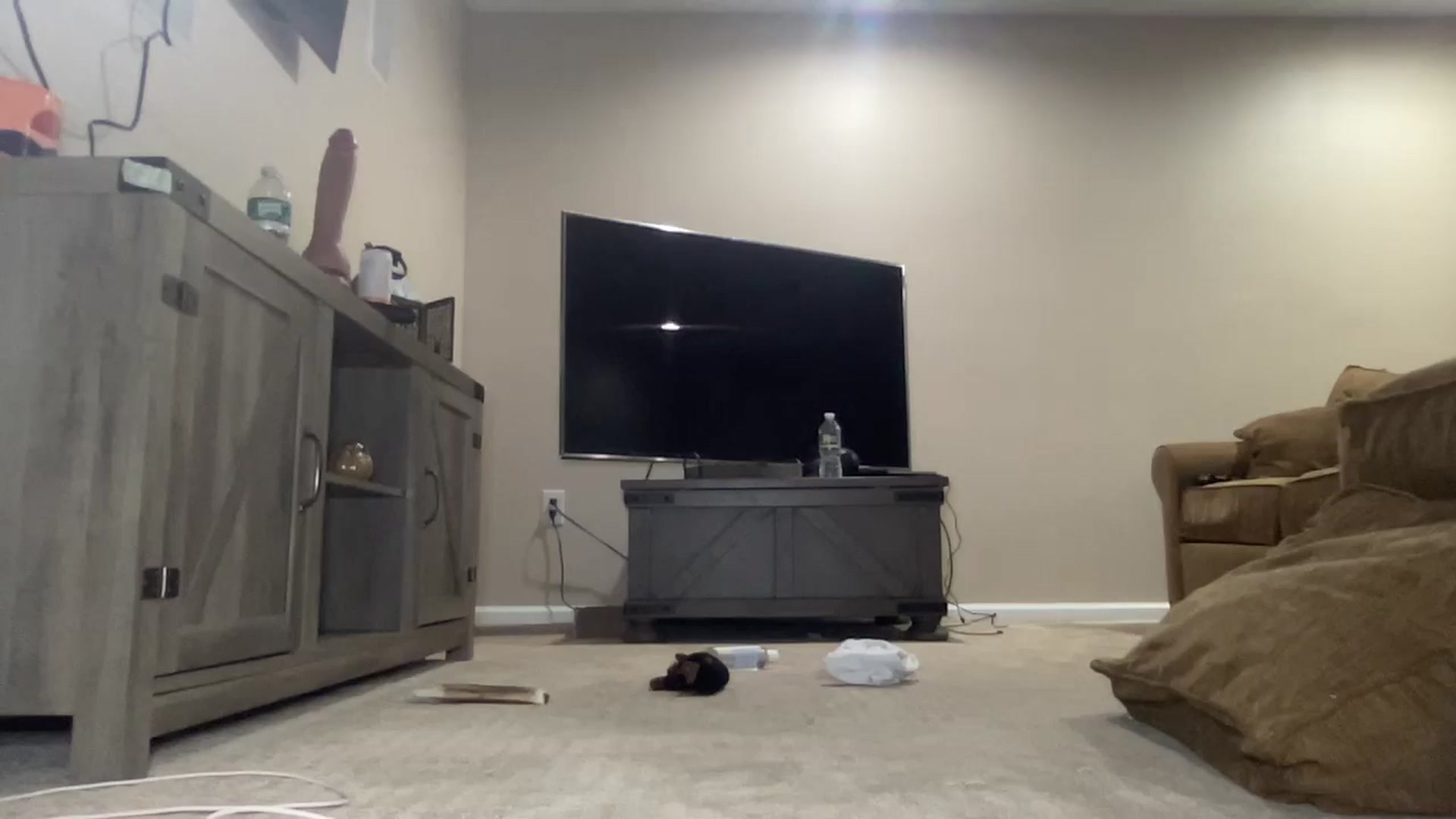 Gallery image thumbnail from Hayleebaby's myfreecams stream on, 09/13/2024, 05:58 image 20 of 20