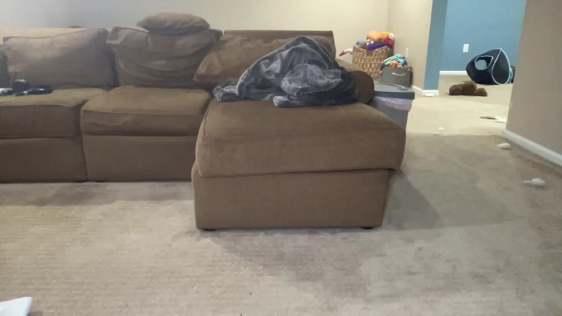 Gallery image thumbnail from Hayleebaby's myfreecams stream on, 09/13/2024, 06:30 image 15 of 20