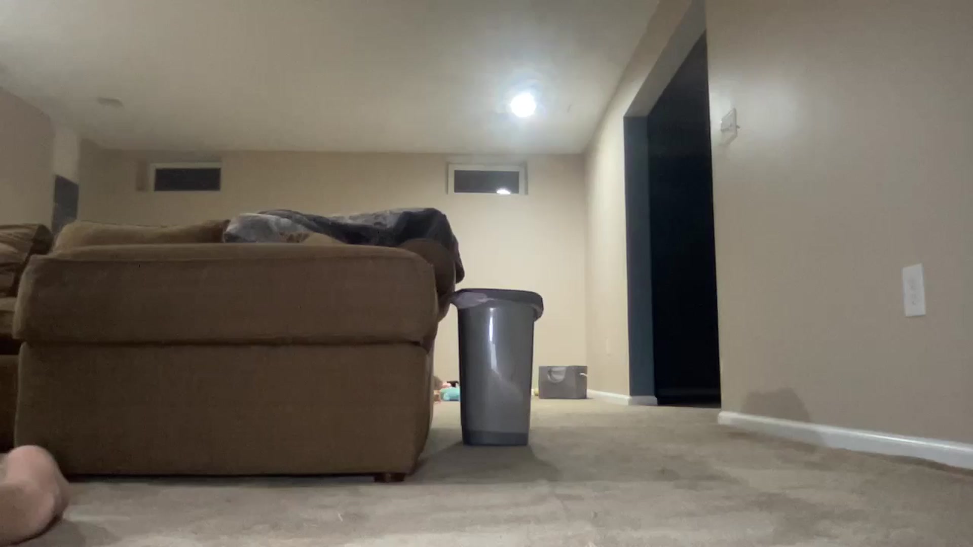 Gallery image thumbnail from Hayleebaby's myfreecams stream on, 02/23/2025, 04:05 image 17 of 20