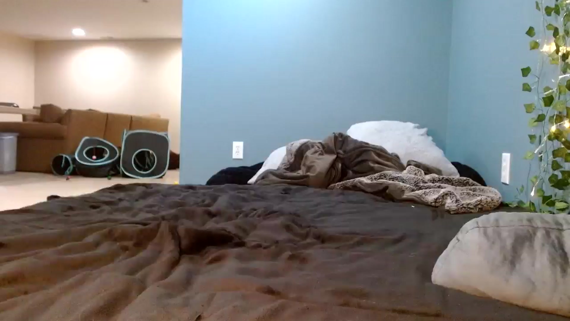 Gallery image thumbnail from Hayleebaby's myfreecams stream on, 11/04/2025, 18:18 image 13 of 20