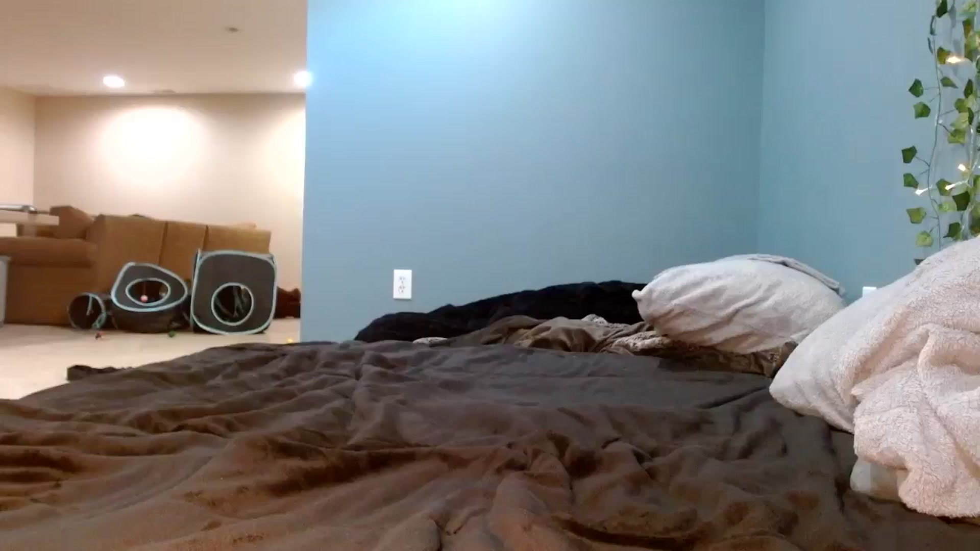 Gallery image thumbnail from Hayleebaby's myfreecams stream on, 11/04/2025, 19:36 image 19 of 20