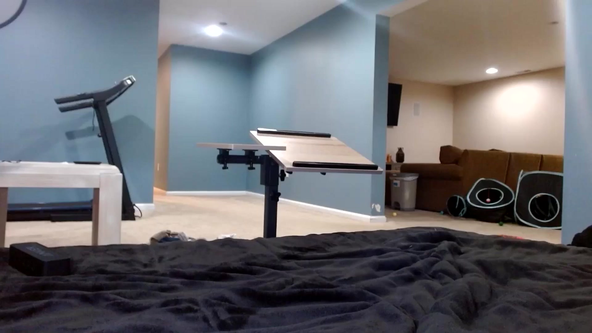 Gallery image thumbnail from Hayleebaby's myfreecams stream on, 11/17/2025, 20:17 image 11 of 20