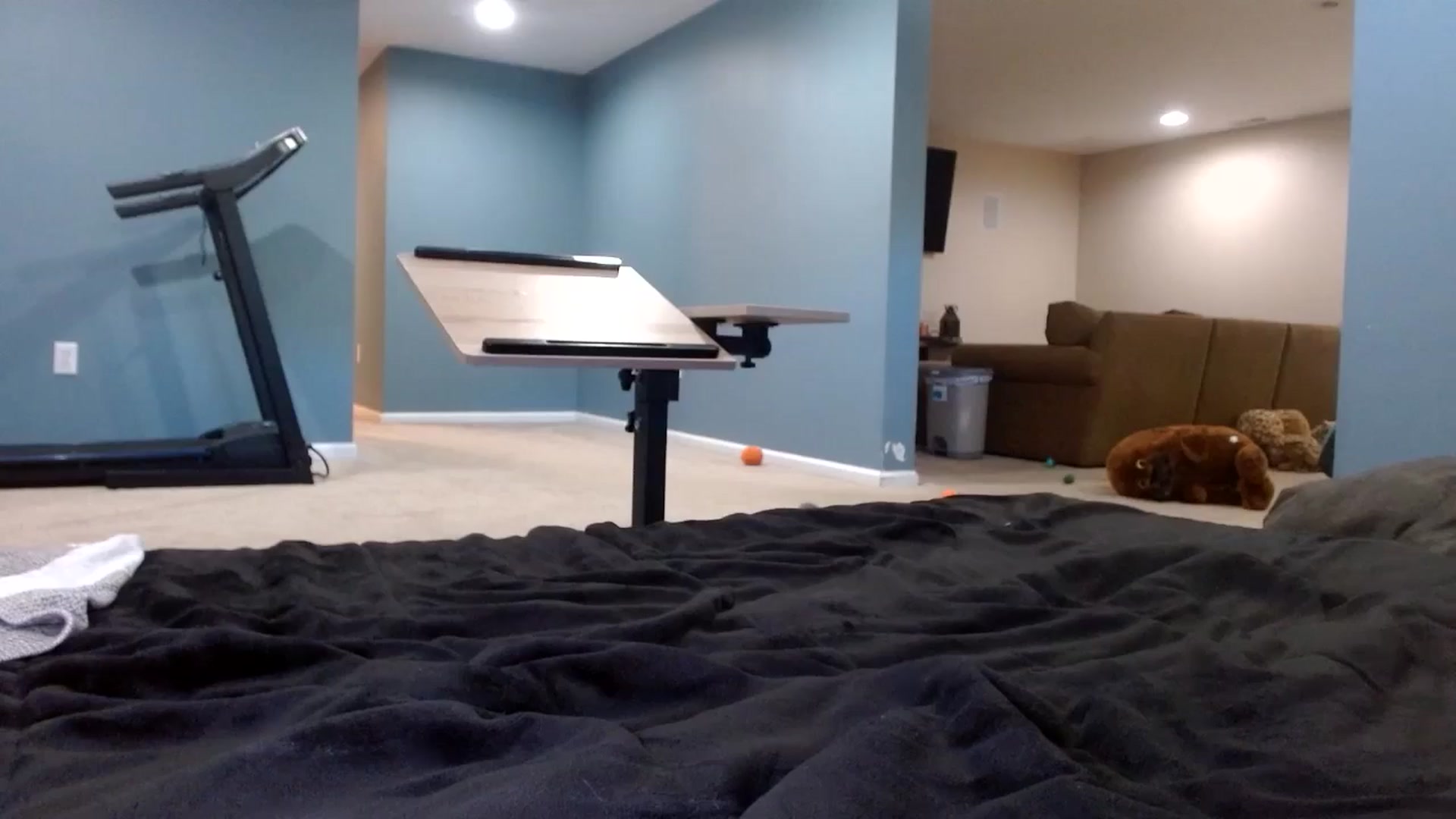 Gallery image thumbnail from Hayleebaby's myfreecams stream on, 12/09/2025, 19:36 image 10 of 20