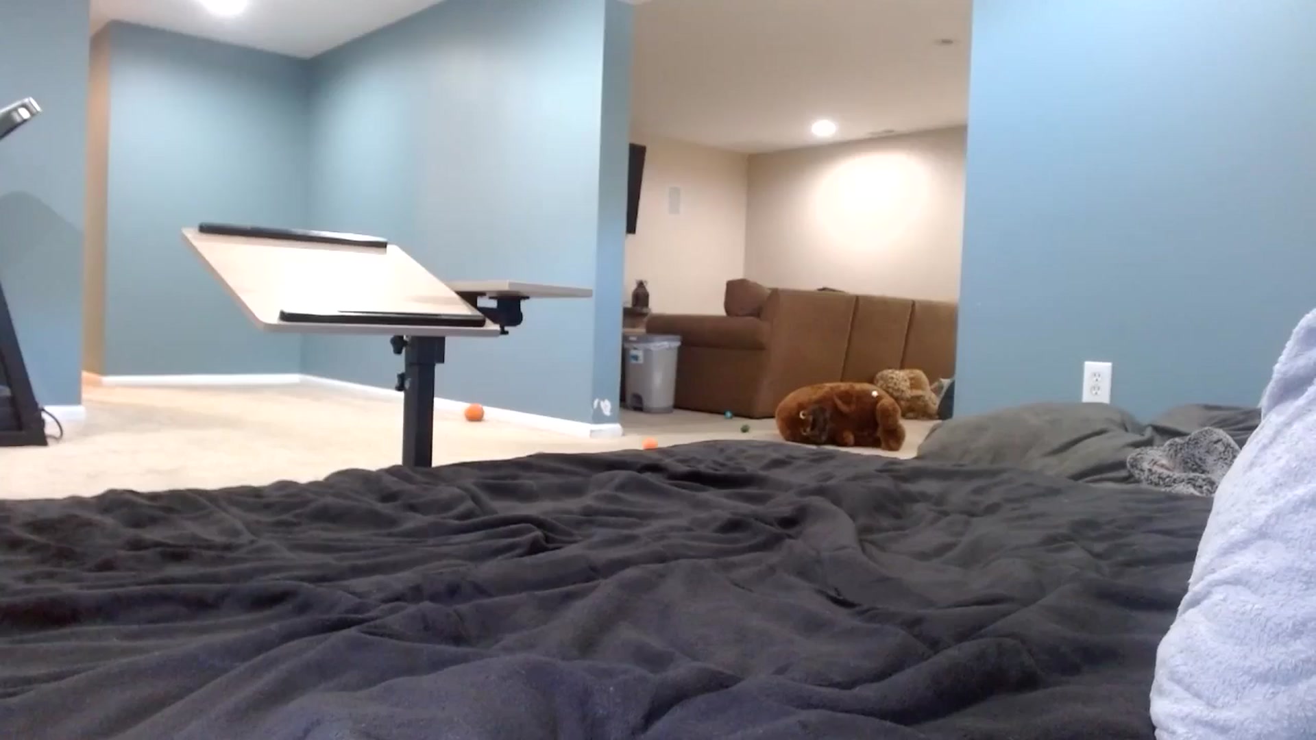 Gallery image thumbnail from Hayleebaby's myfreecams stream on, 12/09/2025, 19:36 image 1 of 20