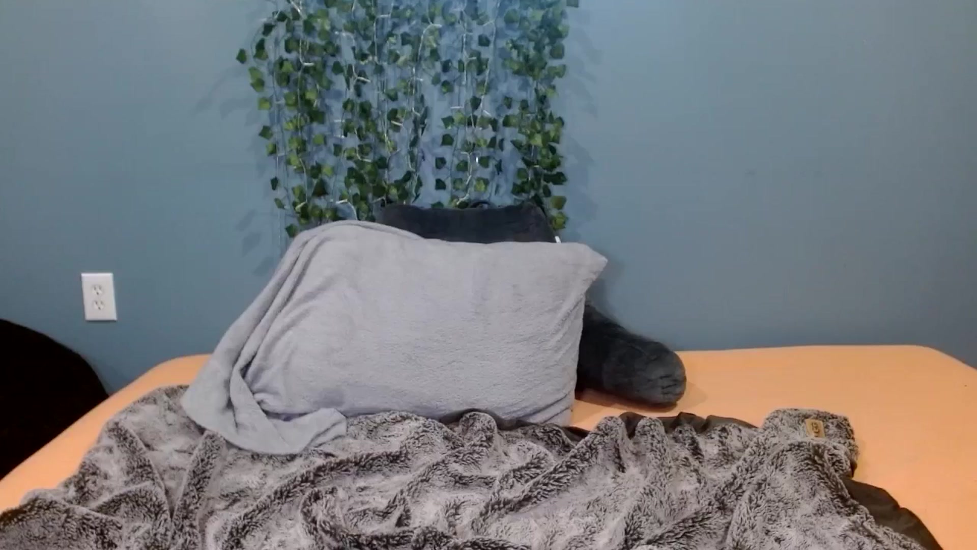 Gallery image thumbnail from Hayleebaby's myfreecams stream on, 12/18/2025, 18:50 image 6 of 20