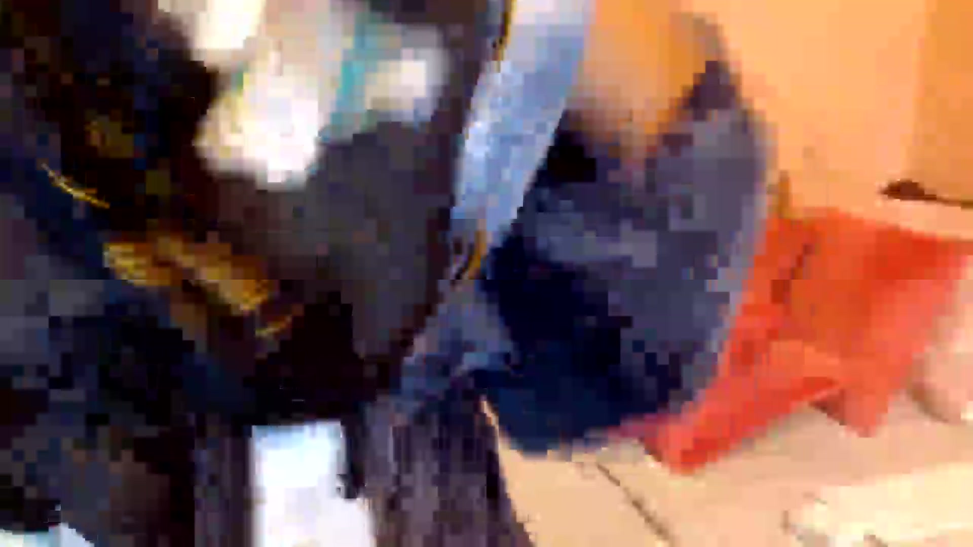 Gallery image thumbnail from HeavensHoney1's myfreecams stream on, 02/19/2025, 15:40 image 19 of 20