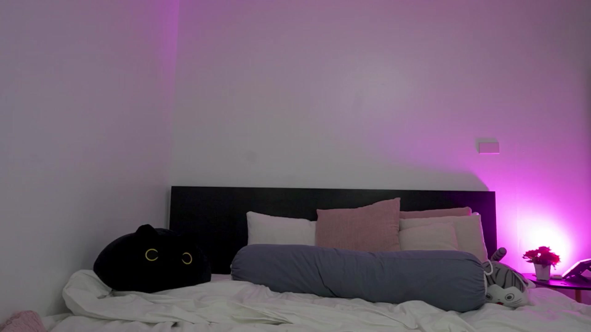 Gallery image thumbnail from Heeykitty's myfreecams stream on, 01/23/2025, 15:50 image 13 of 20