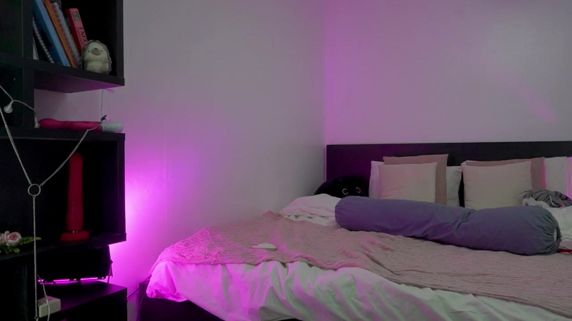 Gallery image thumbnail from Heeykitty's myfreecams stream on, 02/19/2025, 04:37 image 6 of 20