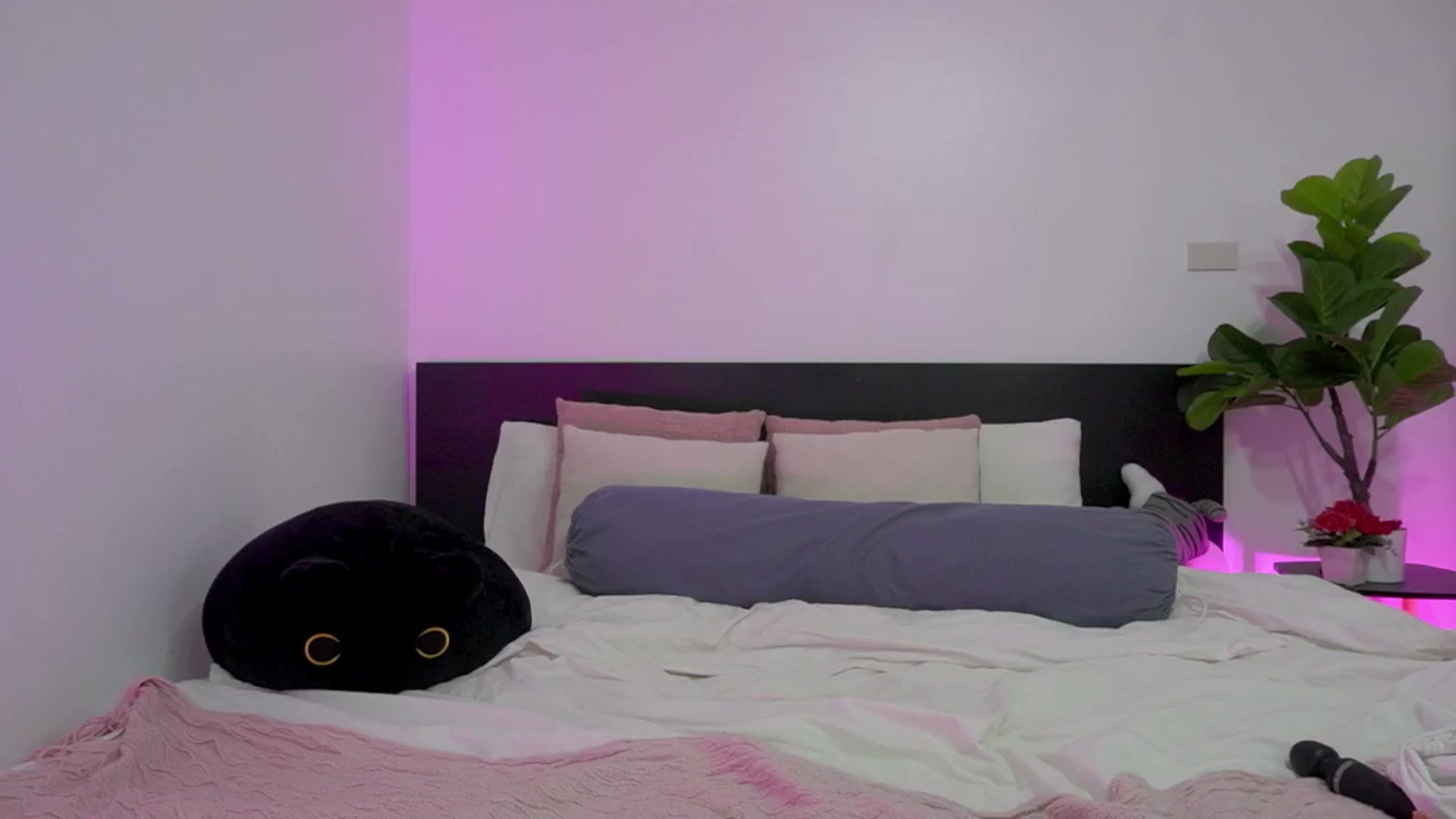 Gallery image thumbnail from Heeykitty's myfreecams stream on, 02/22/2025, 15:17 image 12 of 20