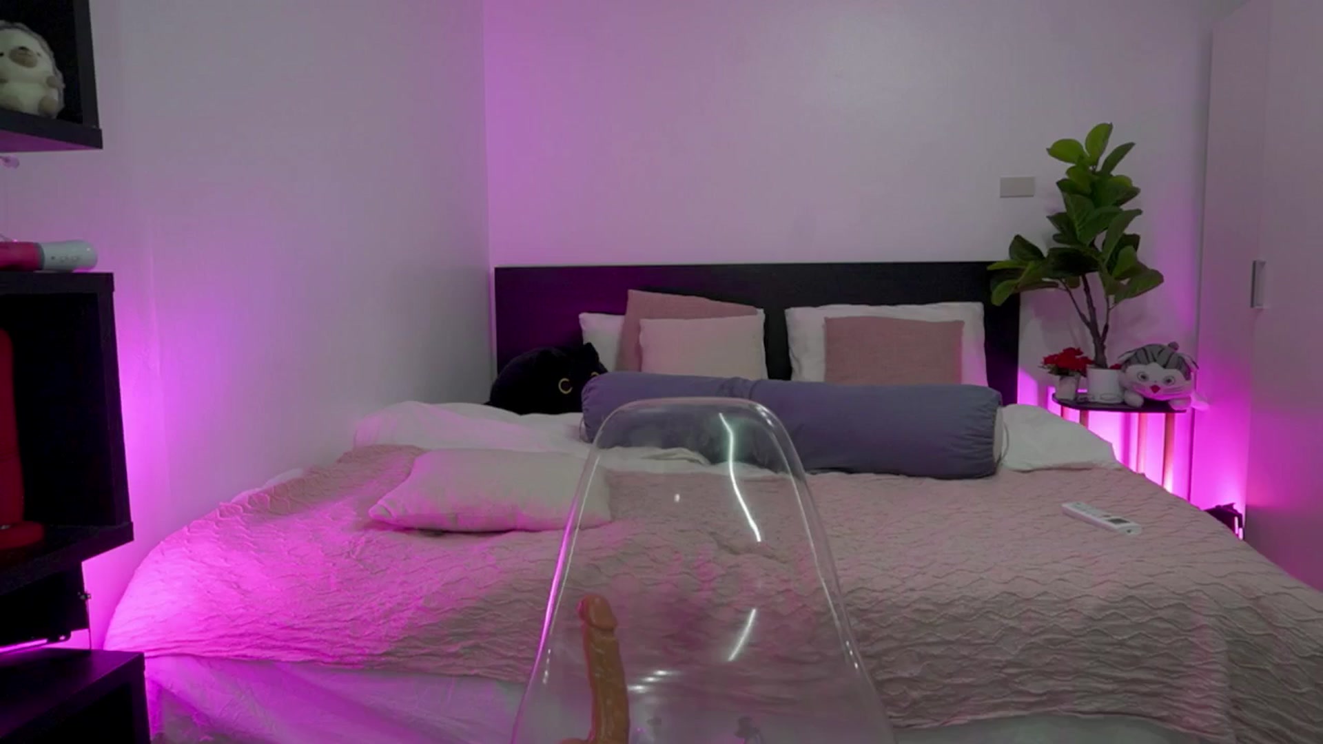 Gallery image thumbnail from Heeykitty's myfreecams stream on, 02/28/2025, 05:05 image 13 of 20