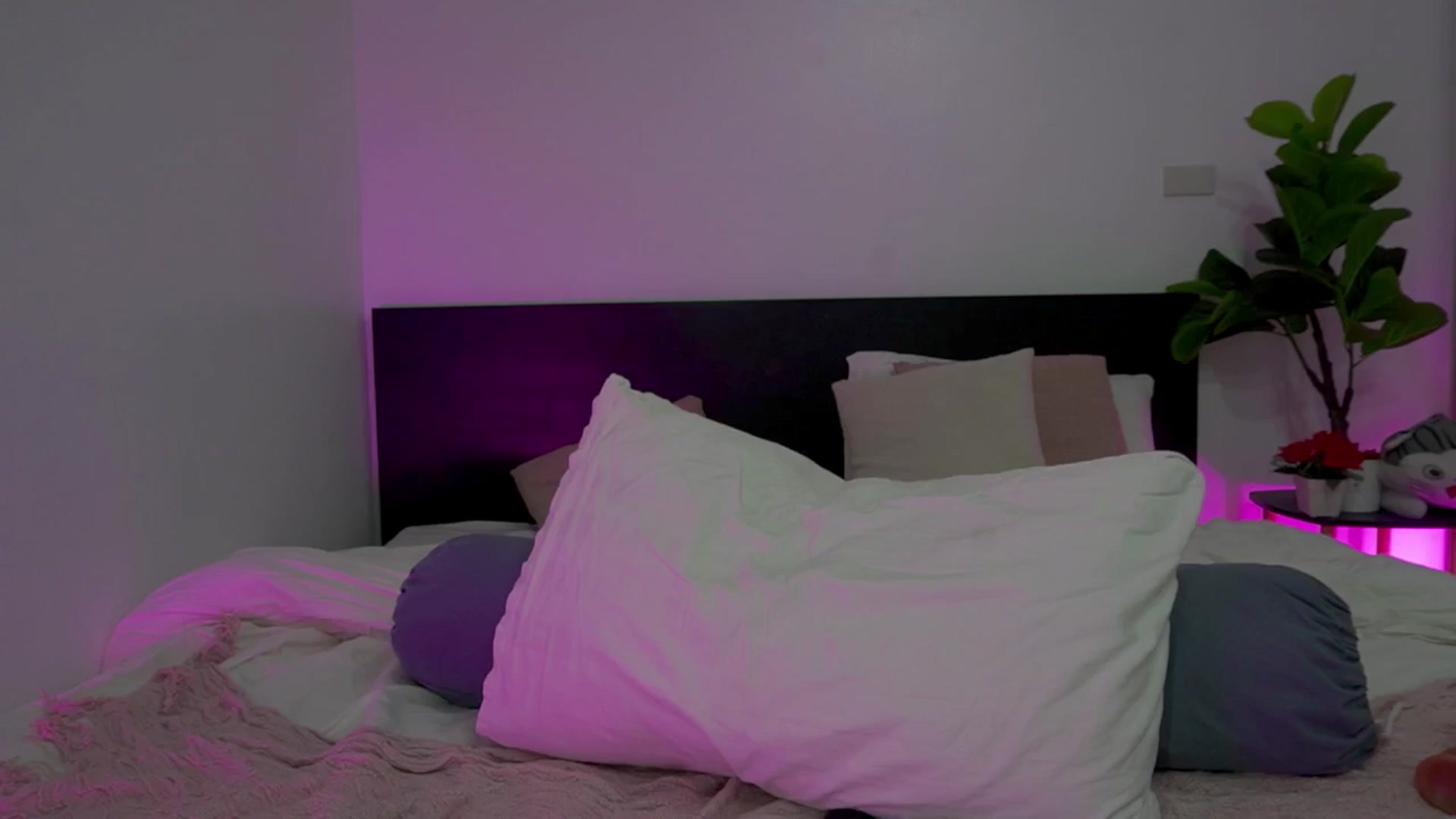 Gallery image thumbnail from Heeykitty's myfreecams stream on, 03/17/2025, 05:32 image 16 of 20