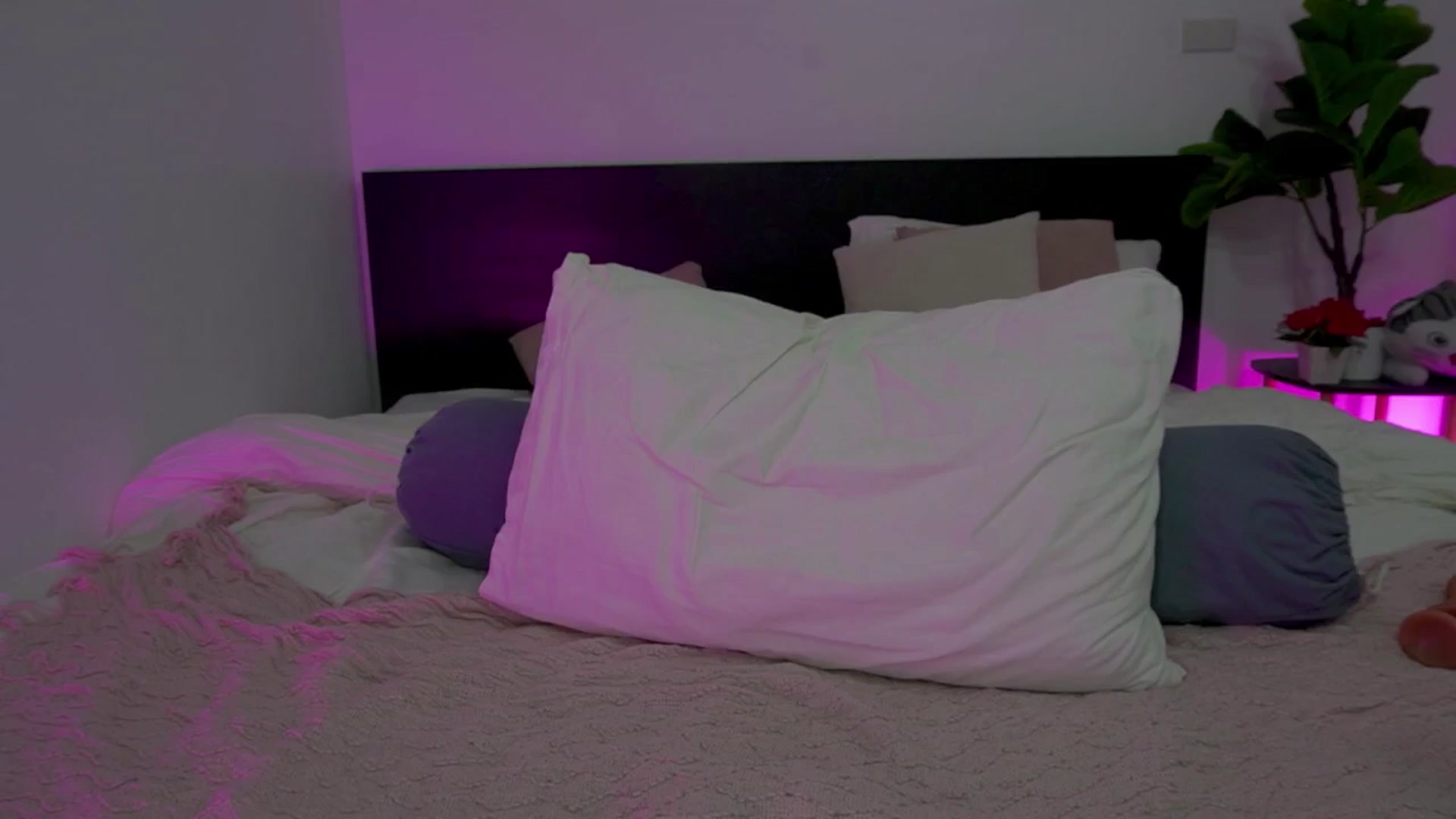 Gallery image thumbnail from Heeykitty's myfreecams stream on, 03/17/2025, 05:32 image 11 of 20